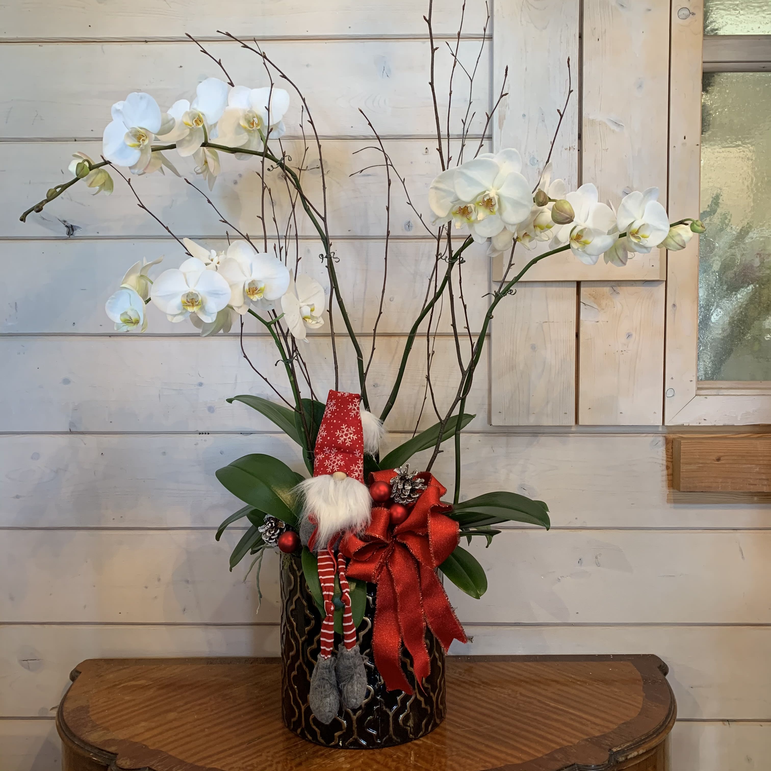 Grand Christmas Orchid Planter - This large four stem white orchid planter is done up with red glitter branches, a large festive bow, ornament balls and pinecones. It is accompanied by a large holiday gnome. Container and gnome are subject to change depending on our current stock. Approximately 32in tall and 22in wide.  