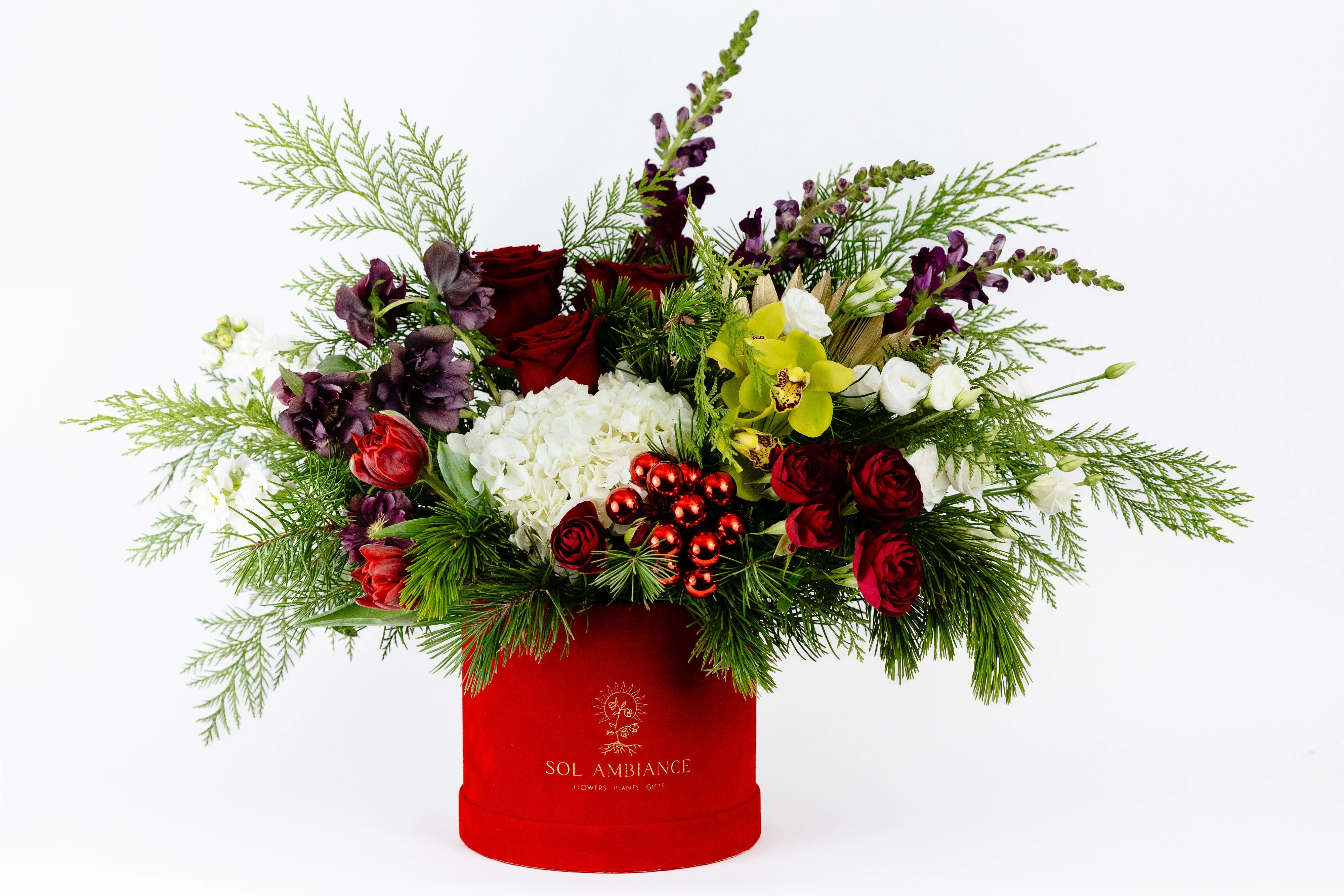 Merry and Bright Arrangement  - Nestled in a red velvet logo box the color of Santa's suit, this arrangement is the perfect Christmas gift. Bright white hydrangeas contrast the deep colors of the hellebore and snapdragons to give a warm and cozy Christmas vibe. Cymbidiums and Spray Roses elevate this look to new Holiday Heights. And, to top it off is the delicious scent from the Cedar and Pine greenery.    SIZE: The STANDARD flower arrangement is approximately 12” height and 12&quot; width.   ALLERGY ADVICE: This design is low in pollen and has no fragrance.  Ready to bring floral beauty into someone’s world with our bright Rainbow Tulip flower vase? Order this gift online now or give us a call on (415) 752-2060 if you have a question or special request. 