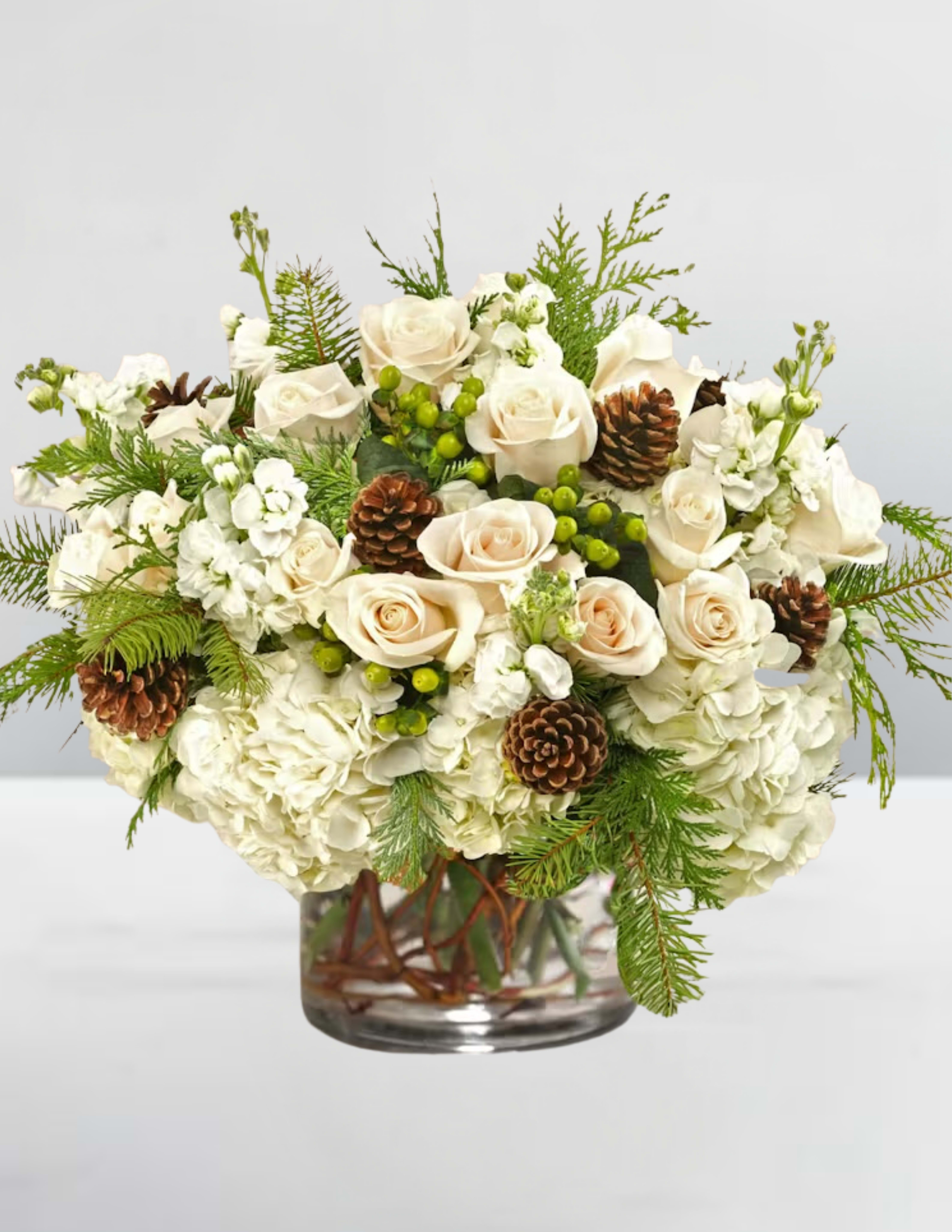 Winters whispers - Winter’s Whisper A serene symphony of cream roses, snowy hydrangeas, and delicate white stock, this arrangement captures the hush of winter’s breath. Nestled among fragrant pine and cedar, green berries glisten like frost-kissed jewels, while rustic pinecones lend a woodland charm. Presented in a clear glass vase that reveals the natural beauty of each stem, this bouquet speaks softly of peace, elegance, and the quiet magic of the season.