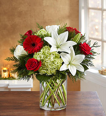 GARDEN OF GRANDEUR CHRISTMAS BOUQUET -  Red roses and Gerbera daisies; white roses and Asiatic lilies; green hydrangea