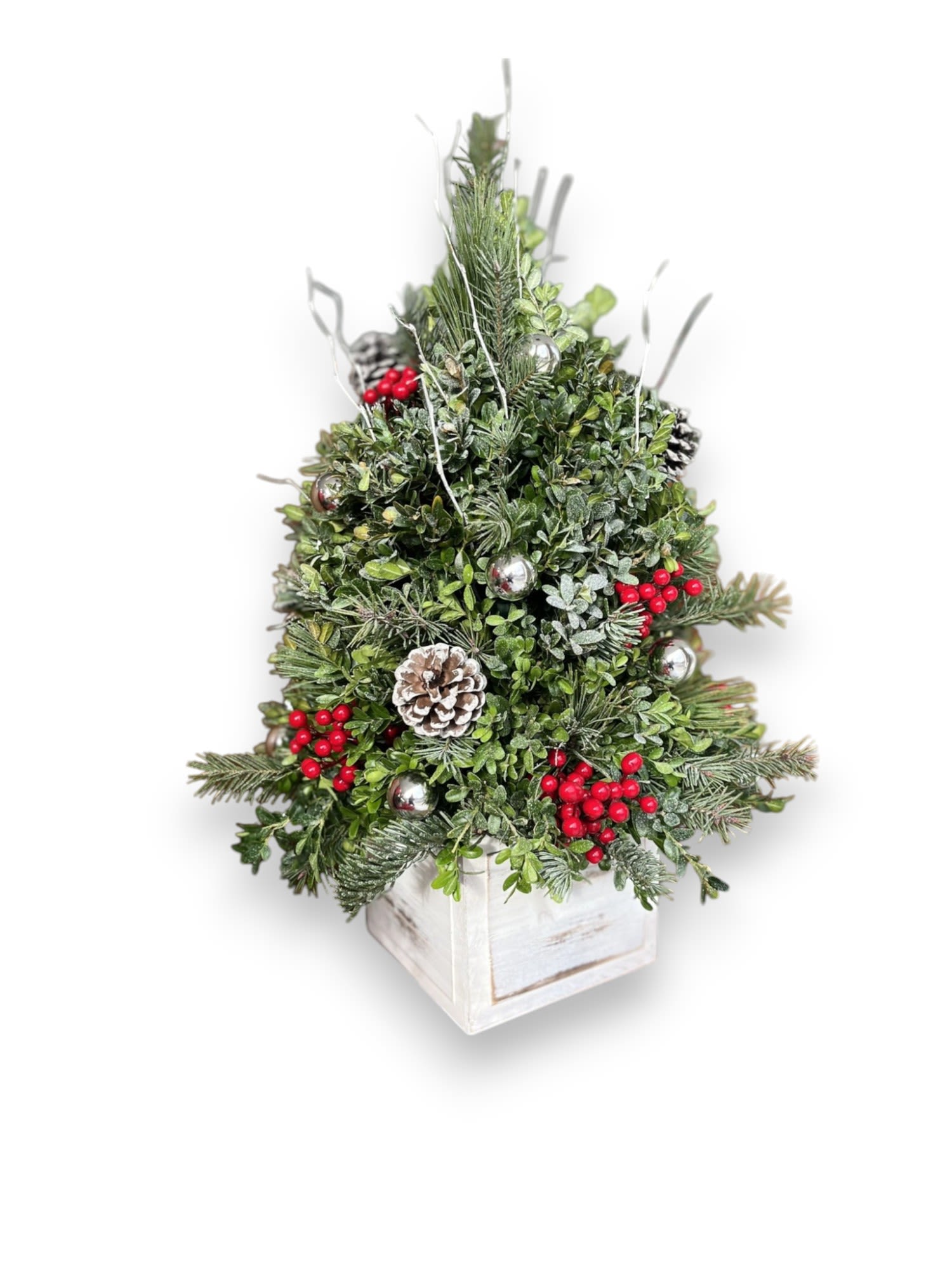 Festive Frosted Boxwood Tree - hand crafted boxwood tree, dusted with snow and adorned with pinecones and holly berries. Perfect to make a statement  