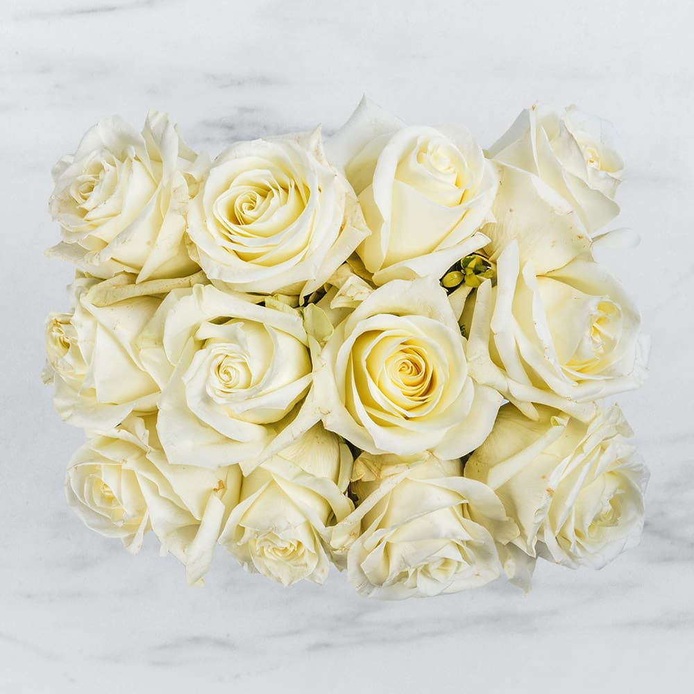Holiday Secrets By BloomNation™ - It's no secret that the holidays are a time of love! Celebrate your loved one with the gift of beautiful white roses! 