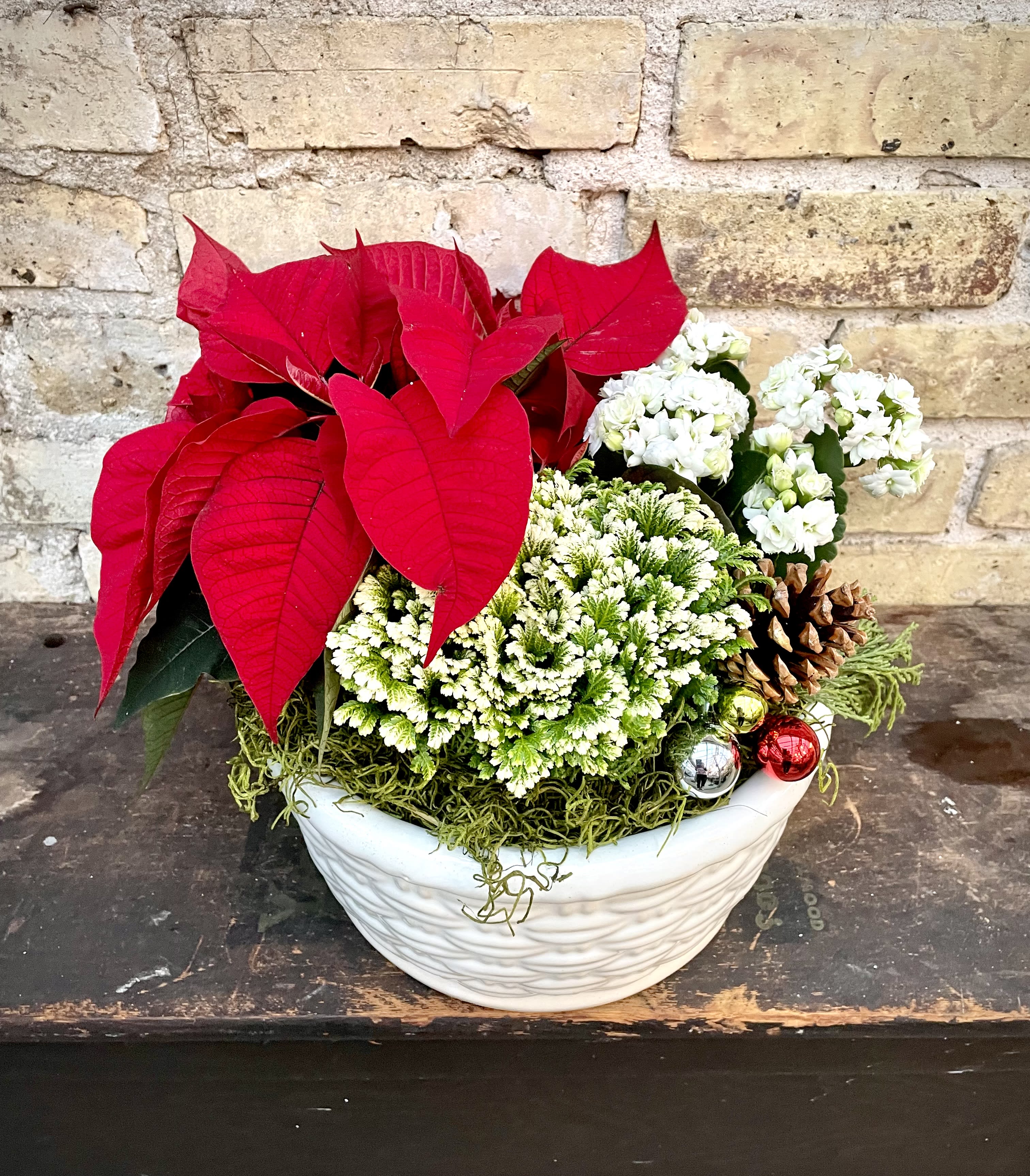 Frosty Fern - White Ceramic Container With an Assortment  of Holiday Plants Set Into It. A Little Holiday Bling Added for Interest !