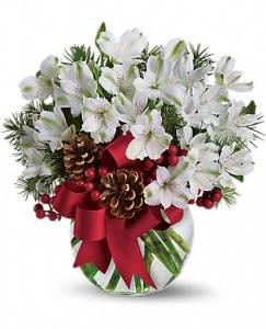 Snowy Splendor - A cute bowl of long lasting alstromeria, this holiday bouquet will bring smiles. 