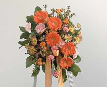 Gerber Diasy Easel Arrangement - As Shown : SF87-11