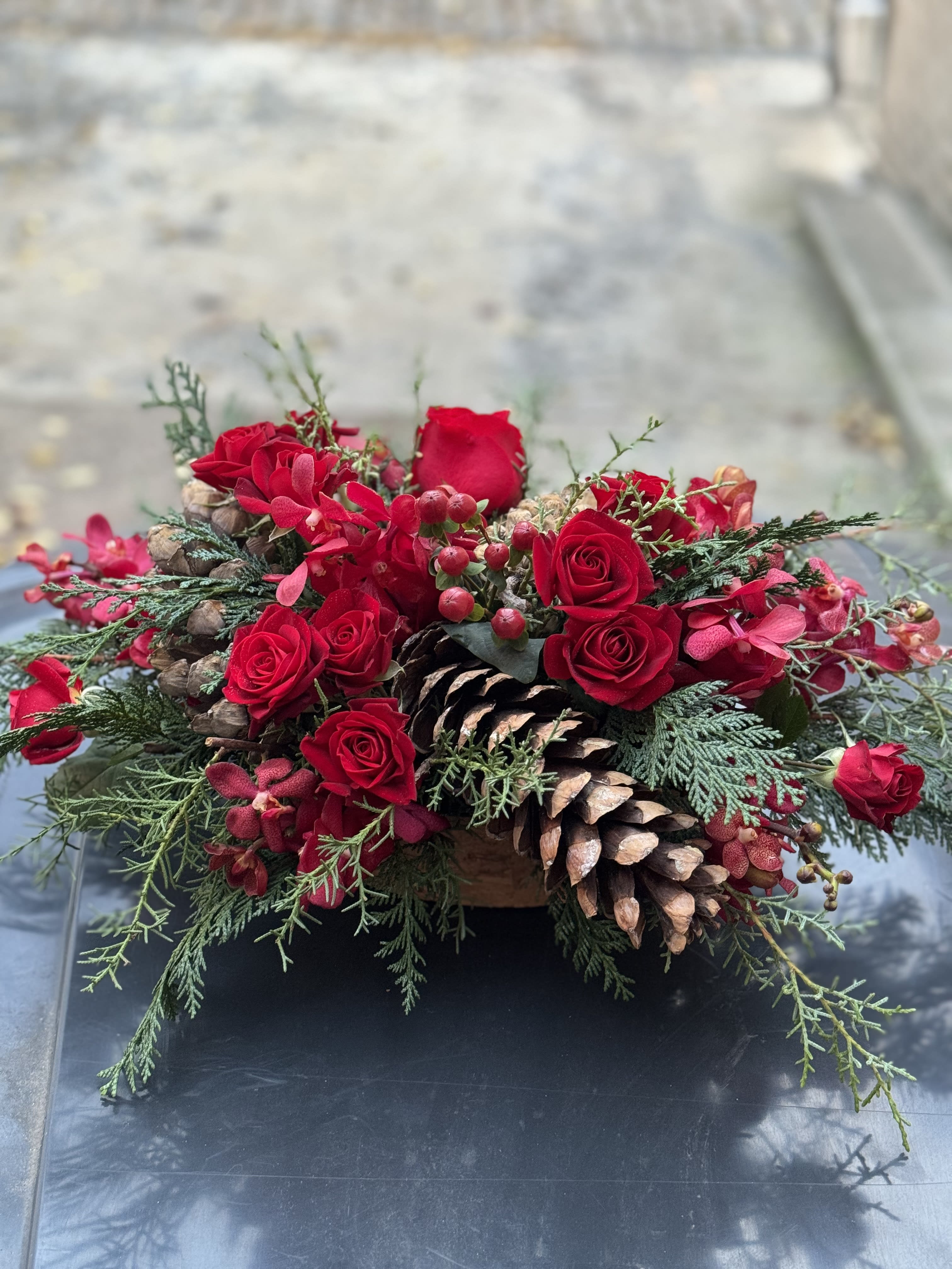 Christmas Time is here - Elegant red blossoms nestled in unique evergreen collection.