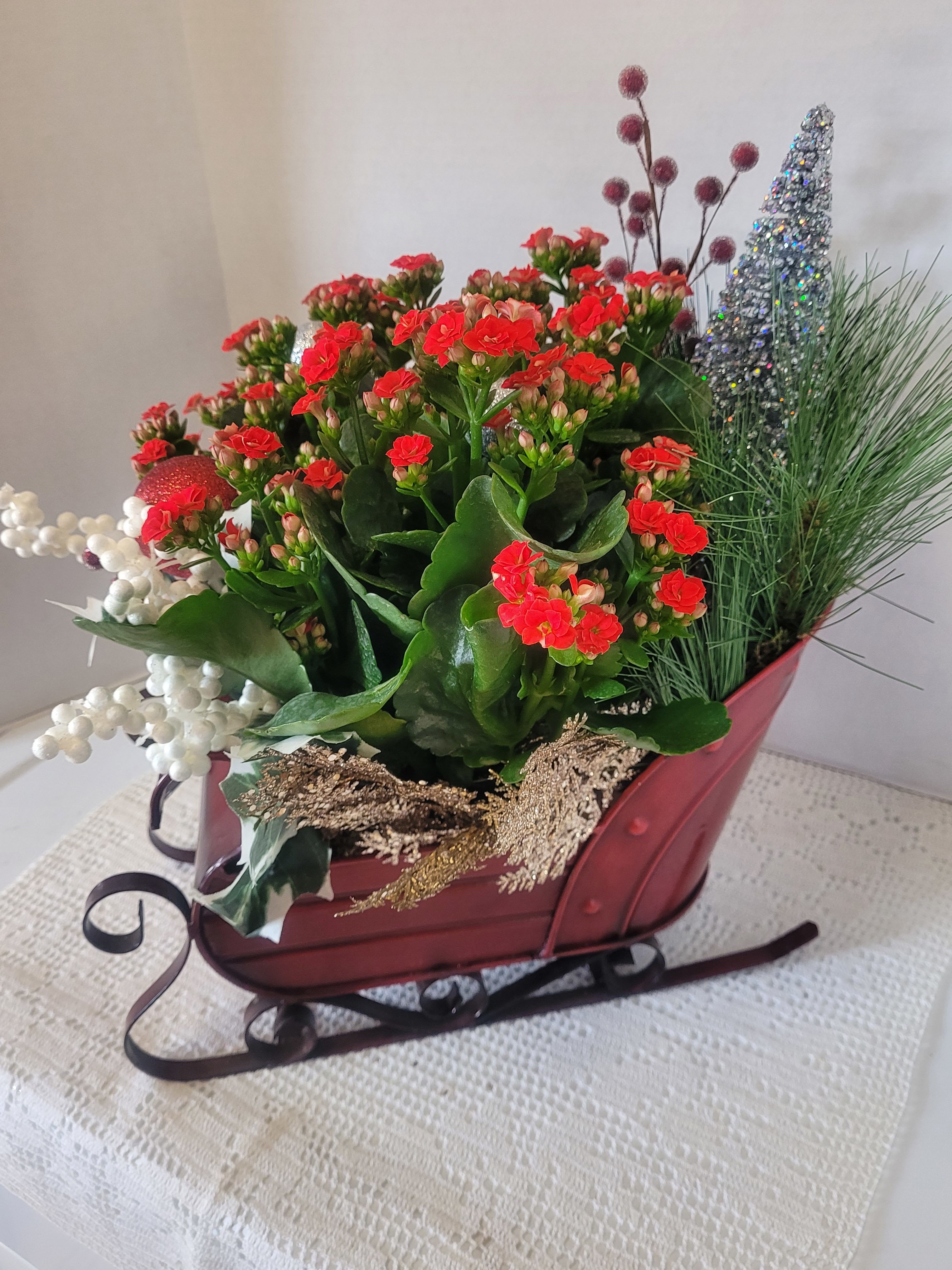 Big Red Sleigh - This sleigh is all decked out for the holiday season. A large red Kalanchoe is featured with festive holiday faux embellishments. It's ready for your home decor.