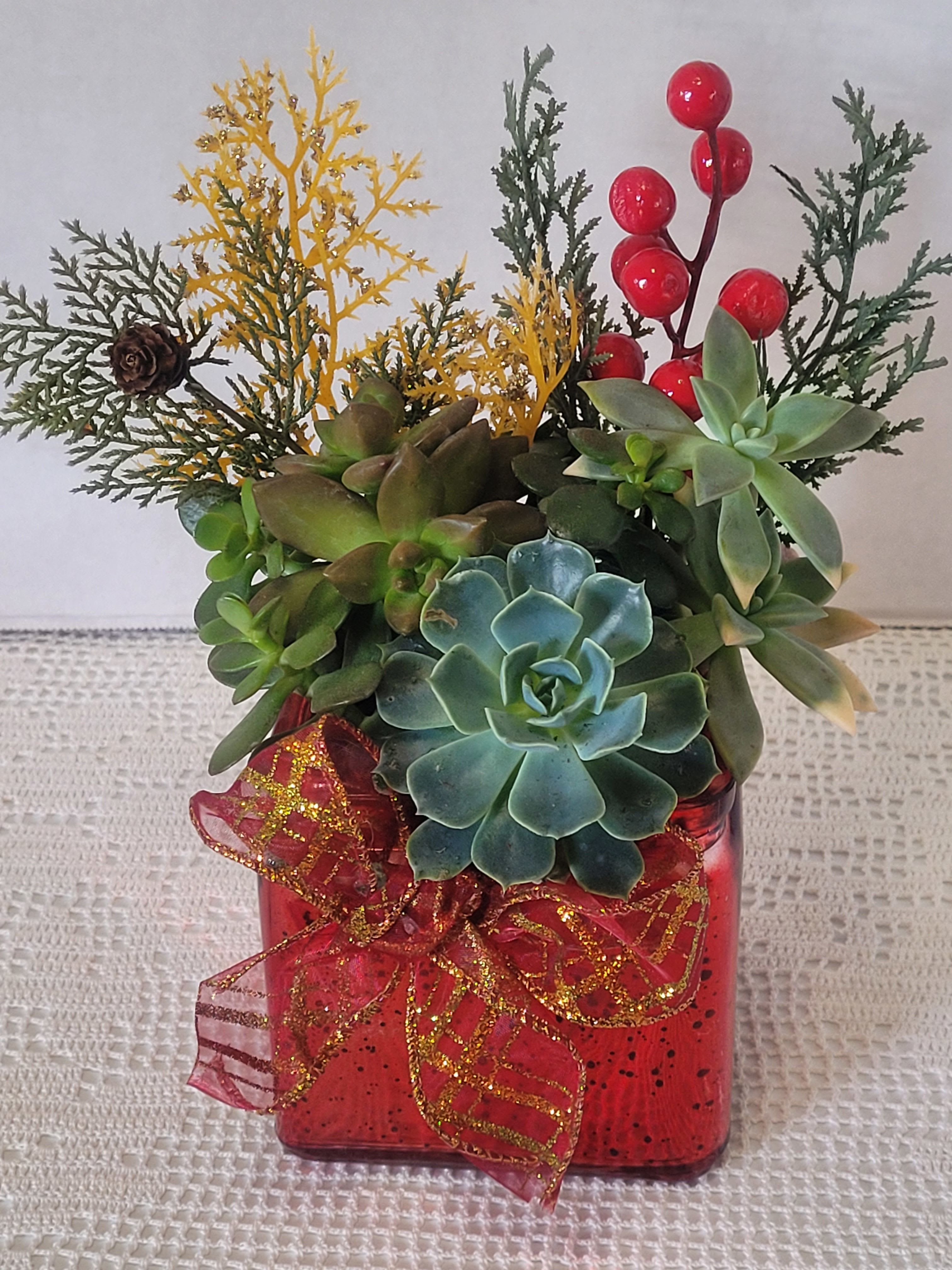 Succulents in Red Glass  - A mix of hardy succulents with festive holiday embellishments in a sparkly container.  A simple way to bring a touch of bling to any space.