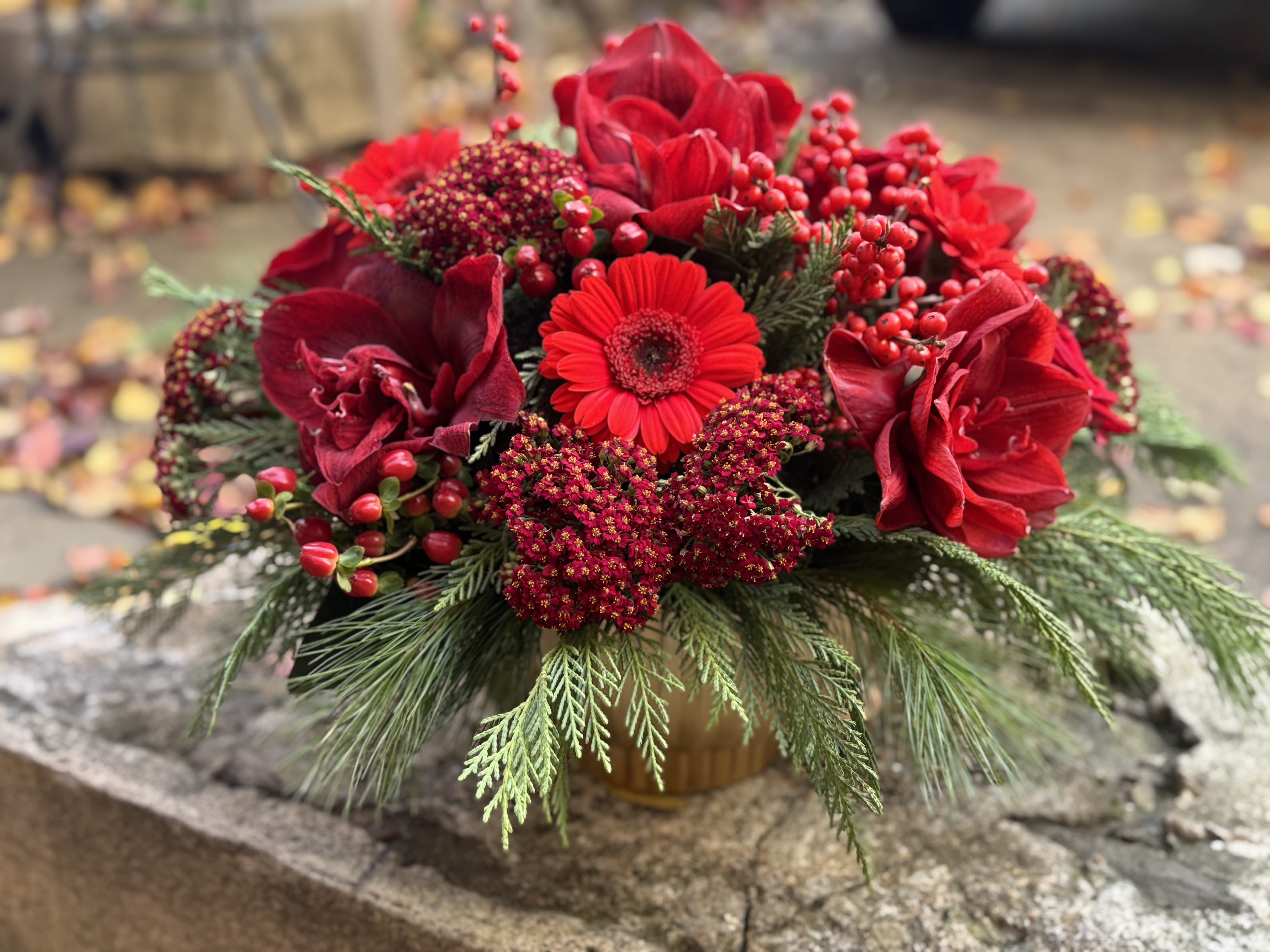 Yalda - Collection of festive red blooms &amp; berries to celebrate brightness after the long Winter night. Container may vary.