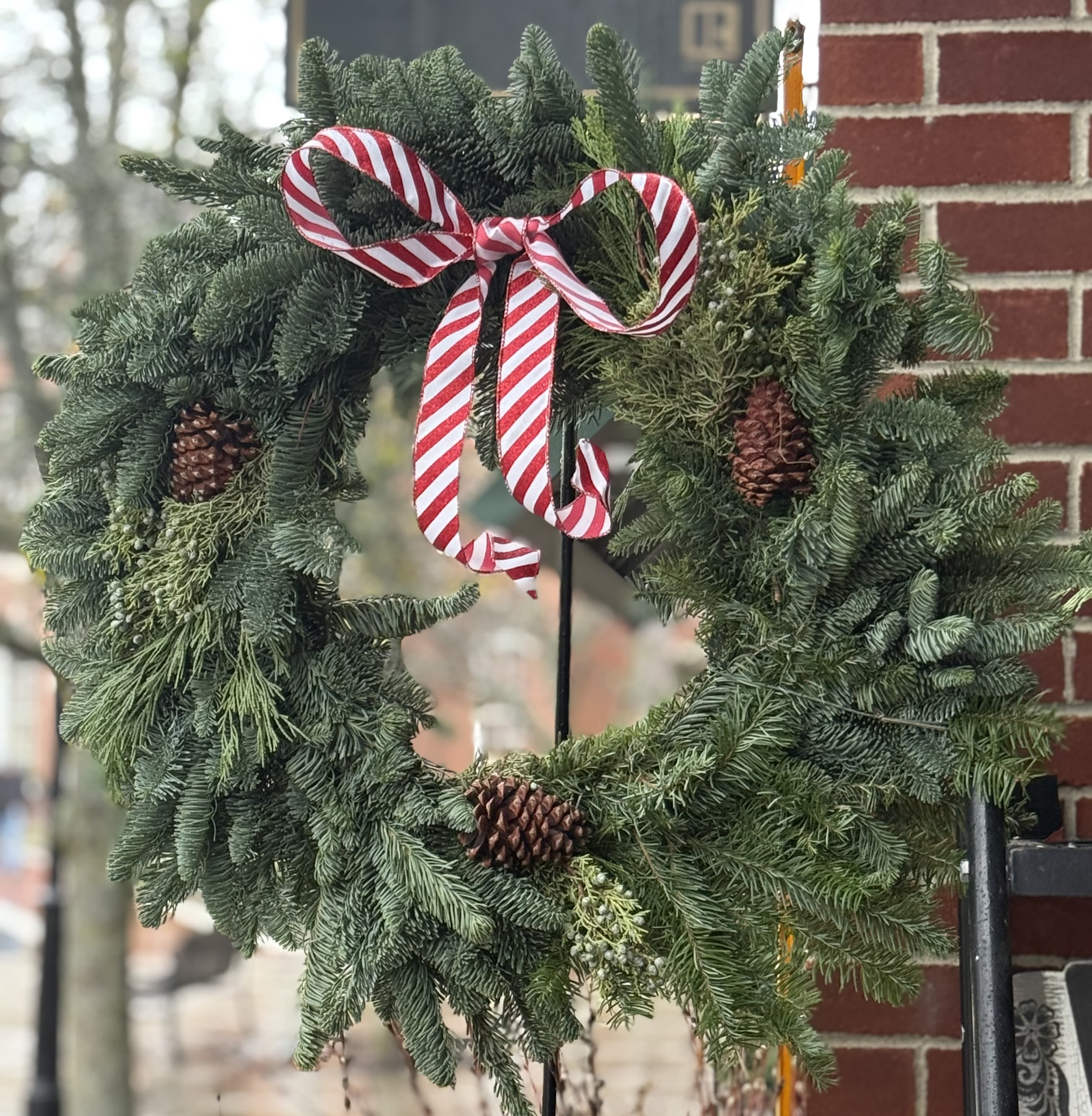 Mixed Evergreen Wreath  - 26&quot; mixed evergreen wreath ready to be hung with care! 