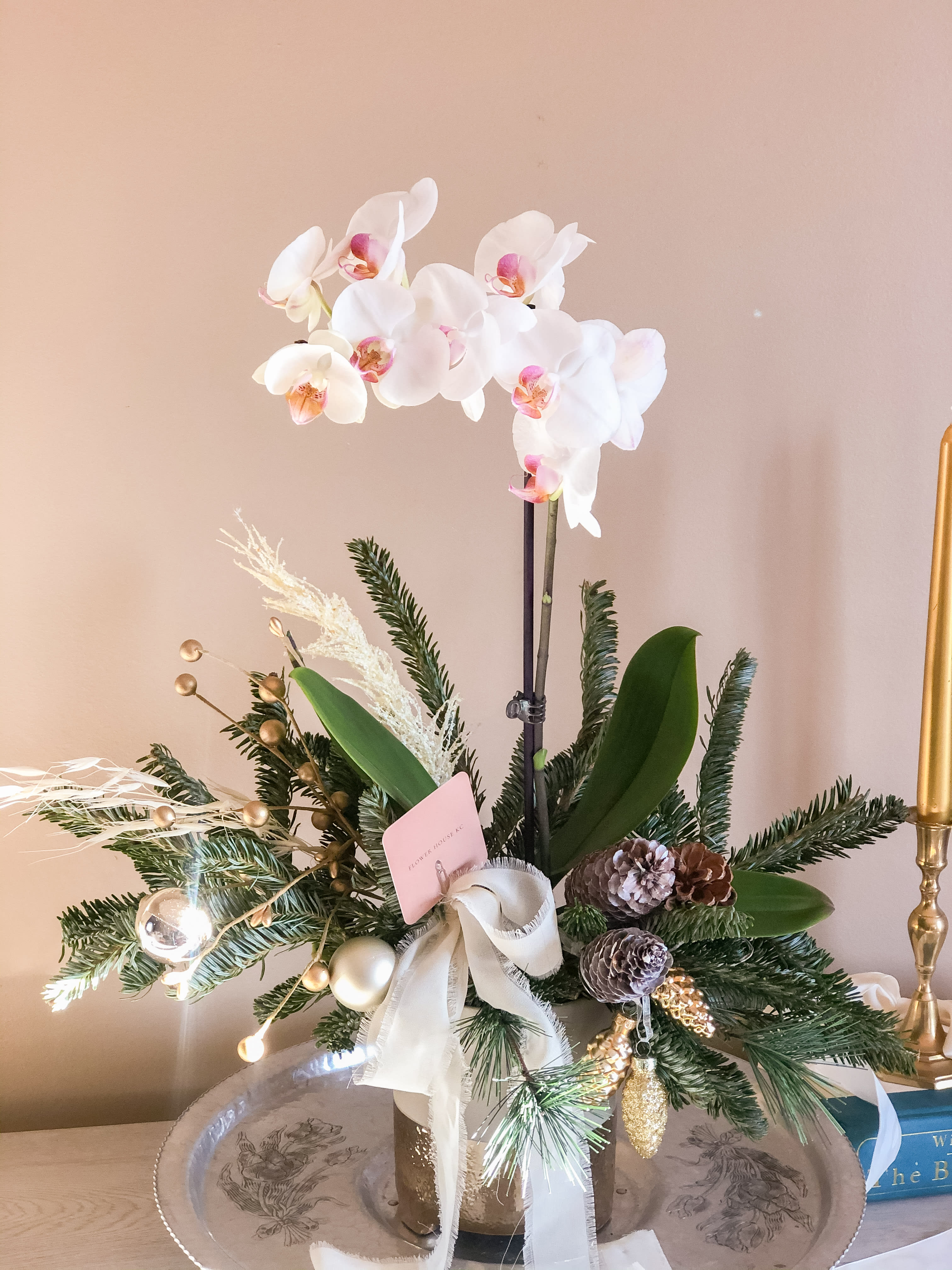 Christmas Orchid  - Orchid planted in a ceramic container with fresh evergreens and ornaments for the Holiday Season. 
