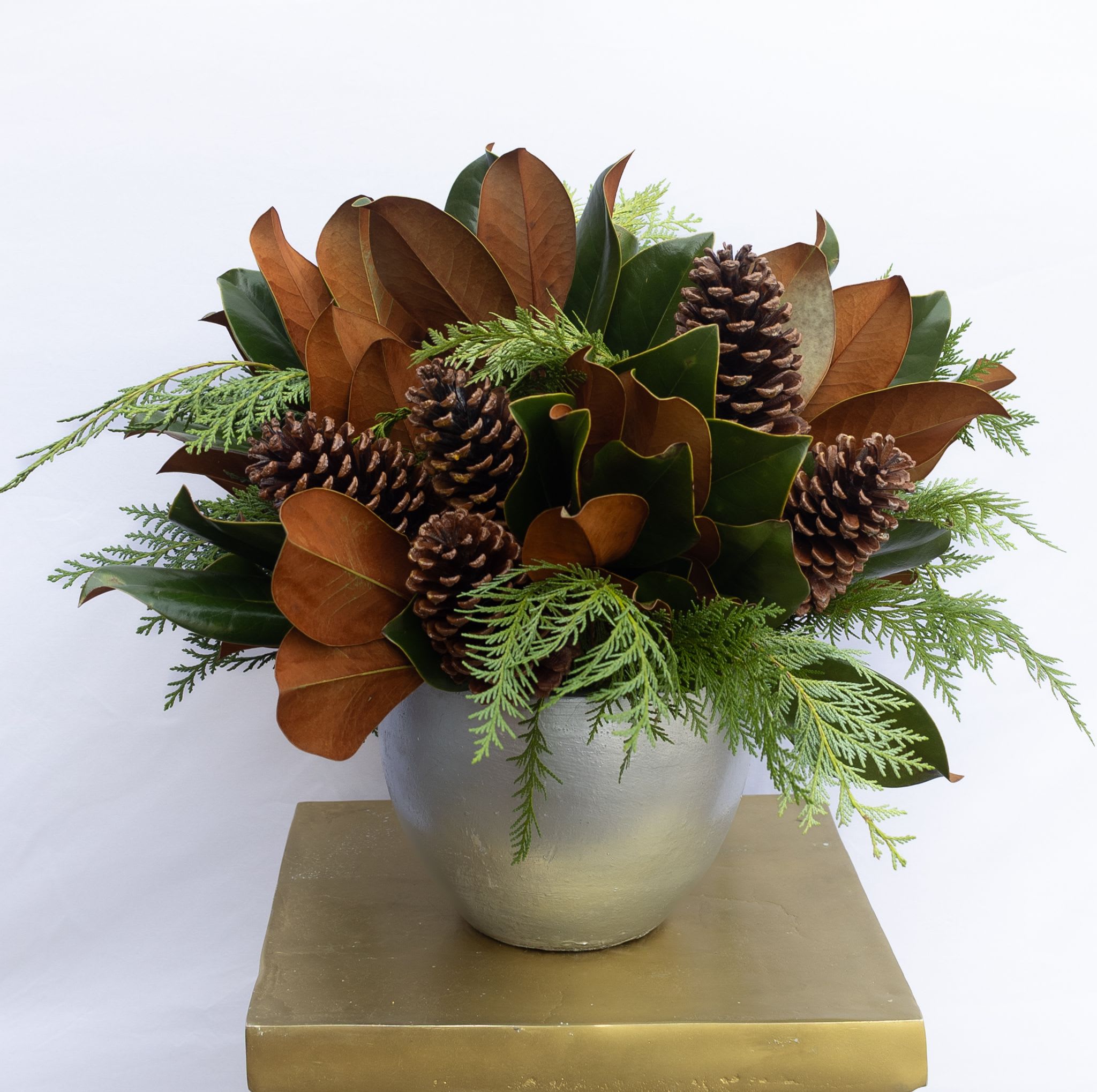 Magnolia Luxe - Silver cement pot with magnolia and winter greenery accented with pinecones. 
