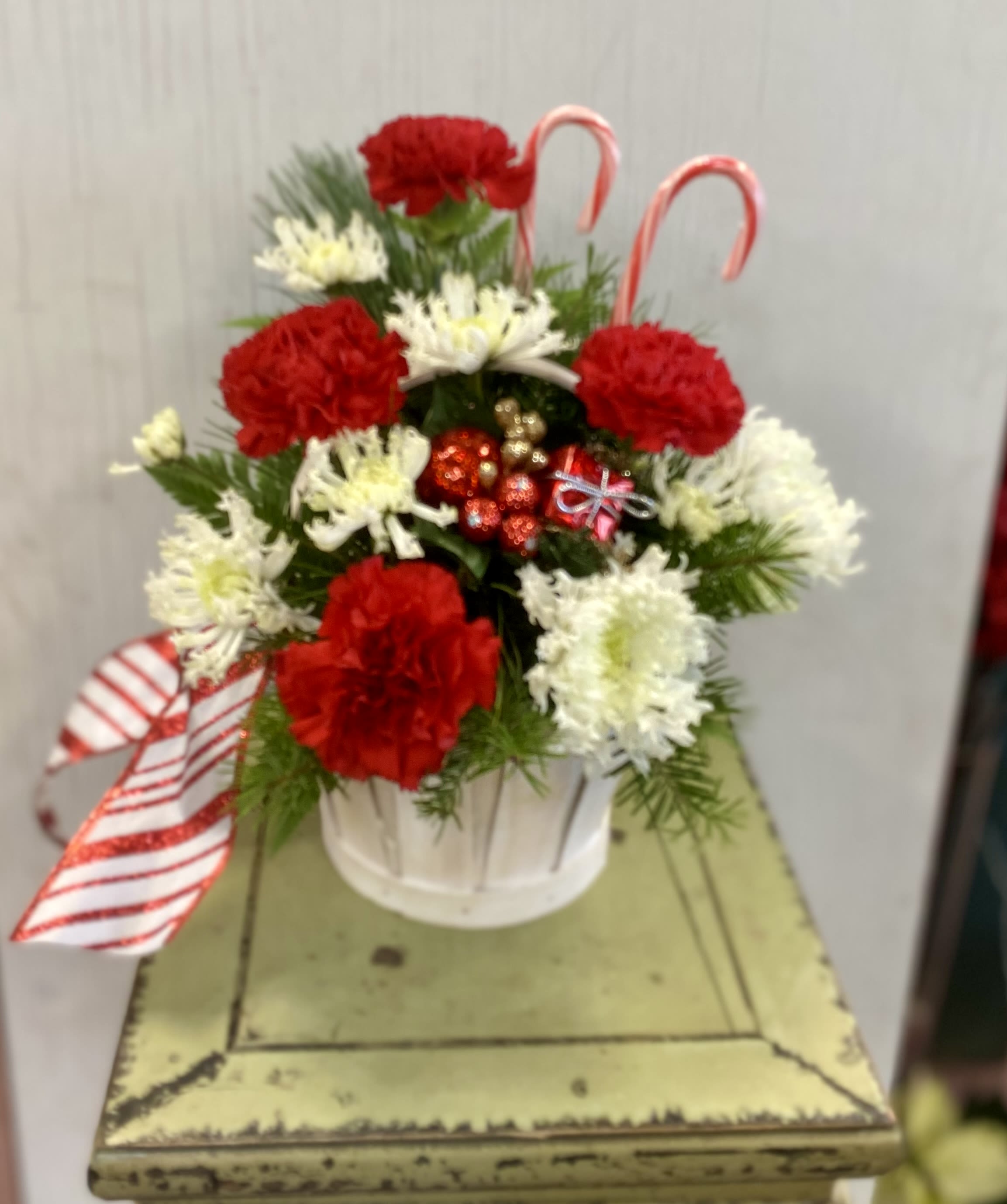 Candy Cane Lane - A holiday traditional best seller! Here's a delightful way to kindle the holiday spirit. A holiday  container with a vintage feel holds a festive array of white cushion pompons, red mini carnations and greens adorned with candy canes. Makes a sweet hostess gift, too! 