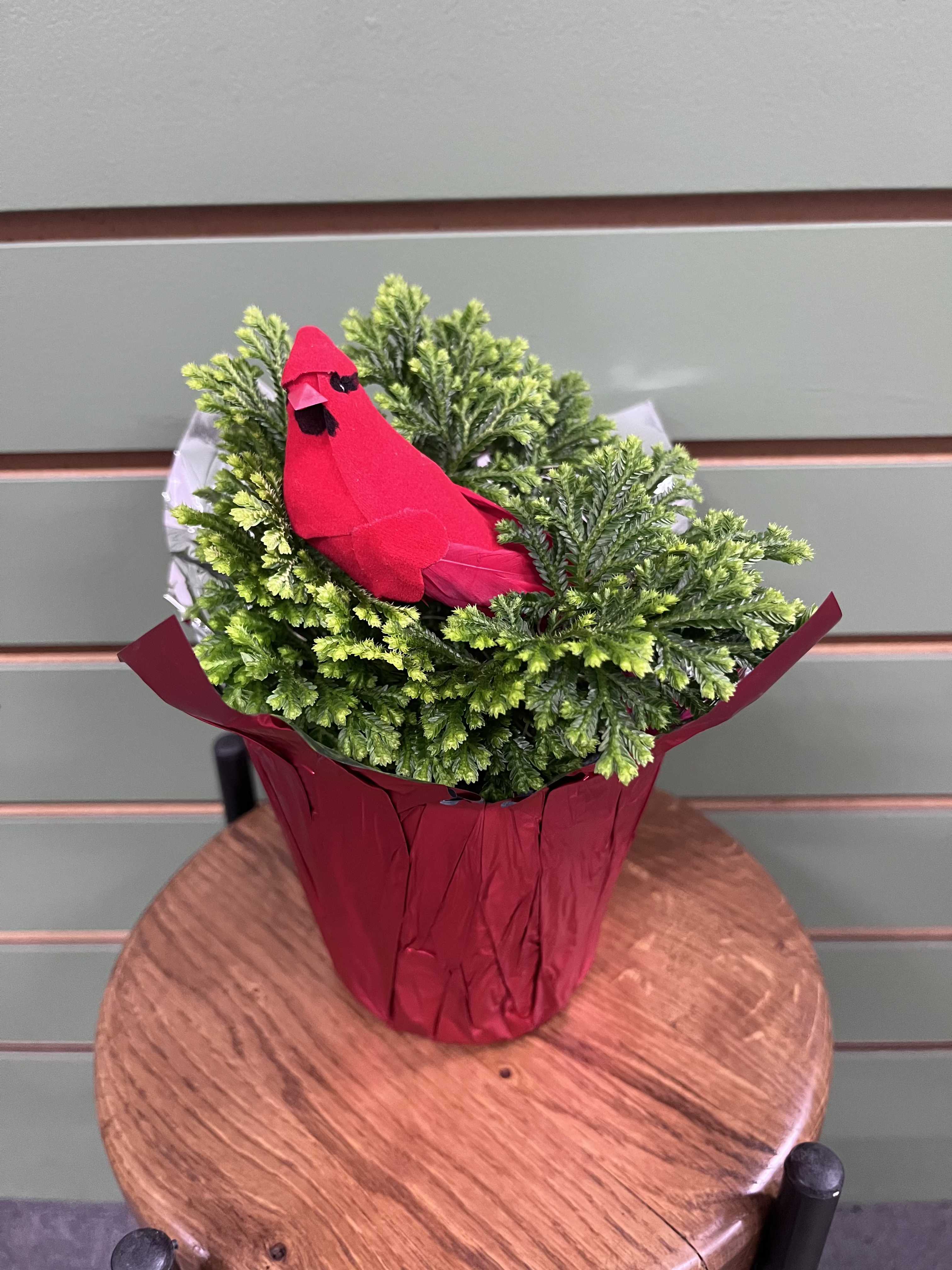 Frosty Fern - Spread a little Christmas spirit with this adorable 4in frosty fern with a cardinal featured in it.