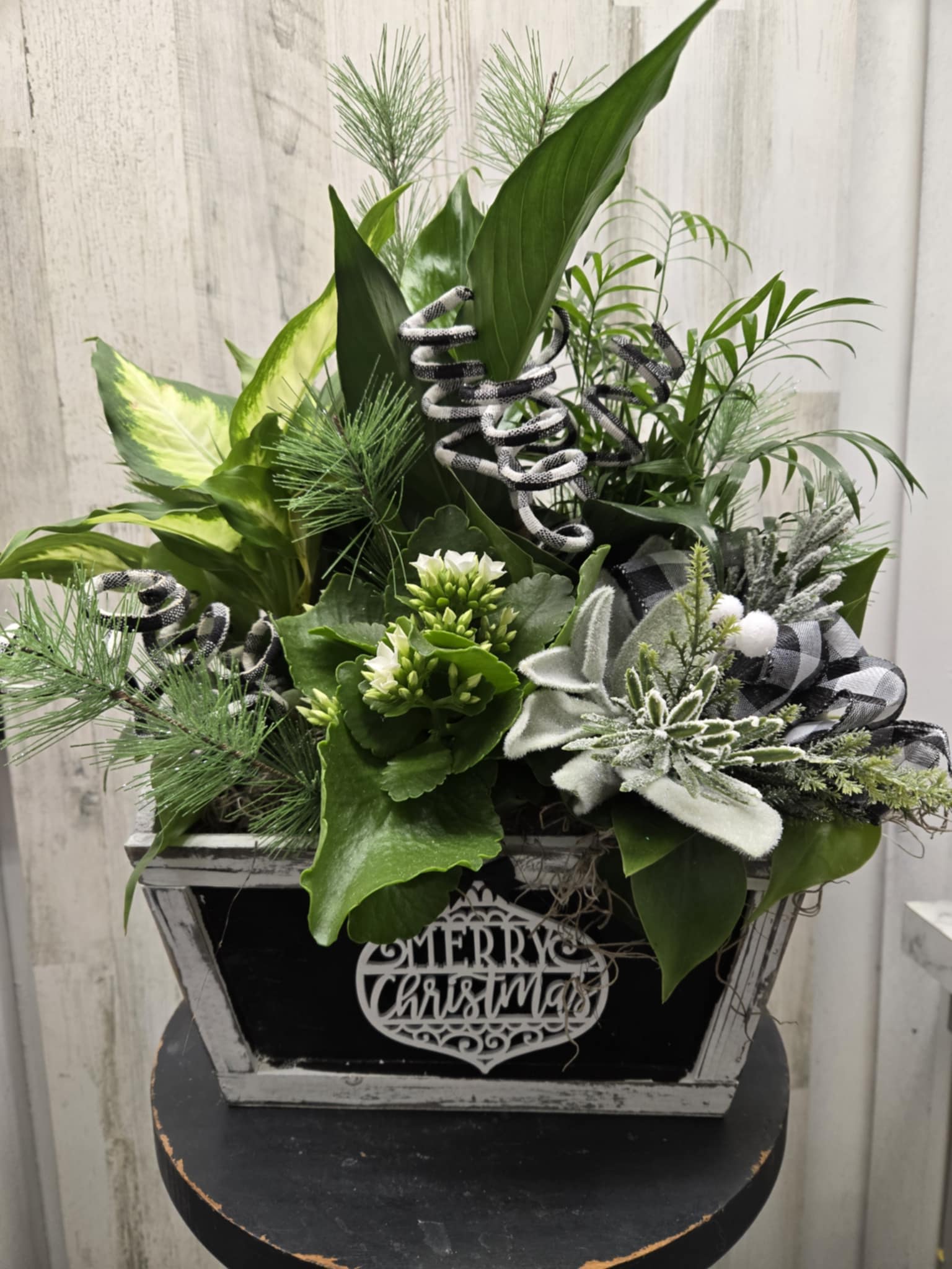 Christmas Dish Garden - A beautiful dish garden for the holidays, as a Gift or for a funeral.