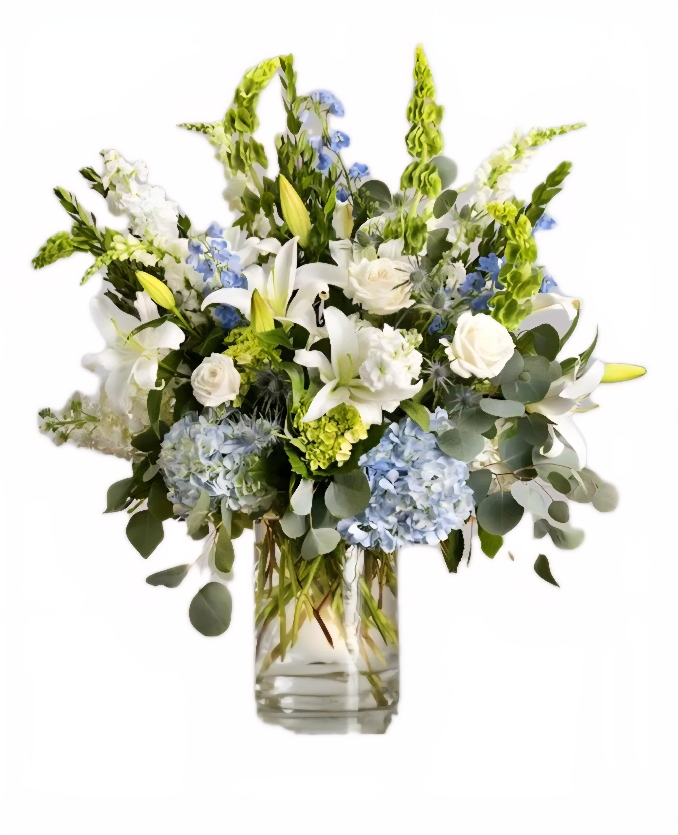Blue &amp; White Sympathy Arrangement  - A large &amp; elegant blue &amp; white sympathy arrangement featuring roses, hydrangeas, stock, bells of Ireland, lilies, delphinium &amp; eucalyptus accented with other greens. Arranged tall and natural in a clear glass cylinder.   Measures approx. 24" tall &amp; 18" wide Orientation: Front focal