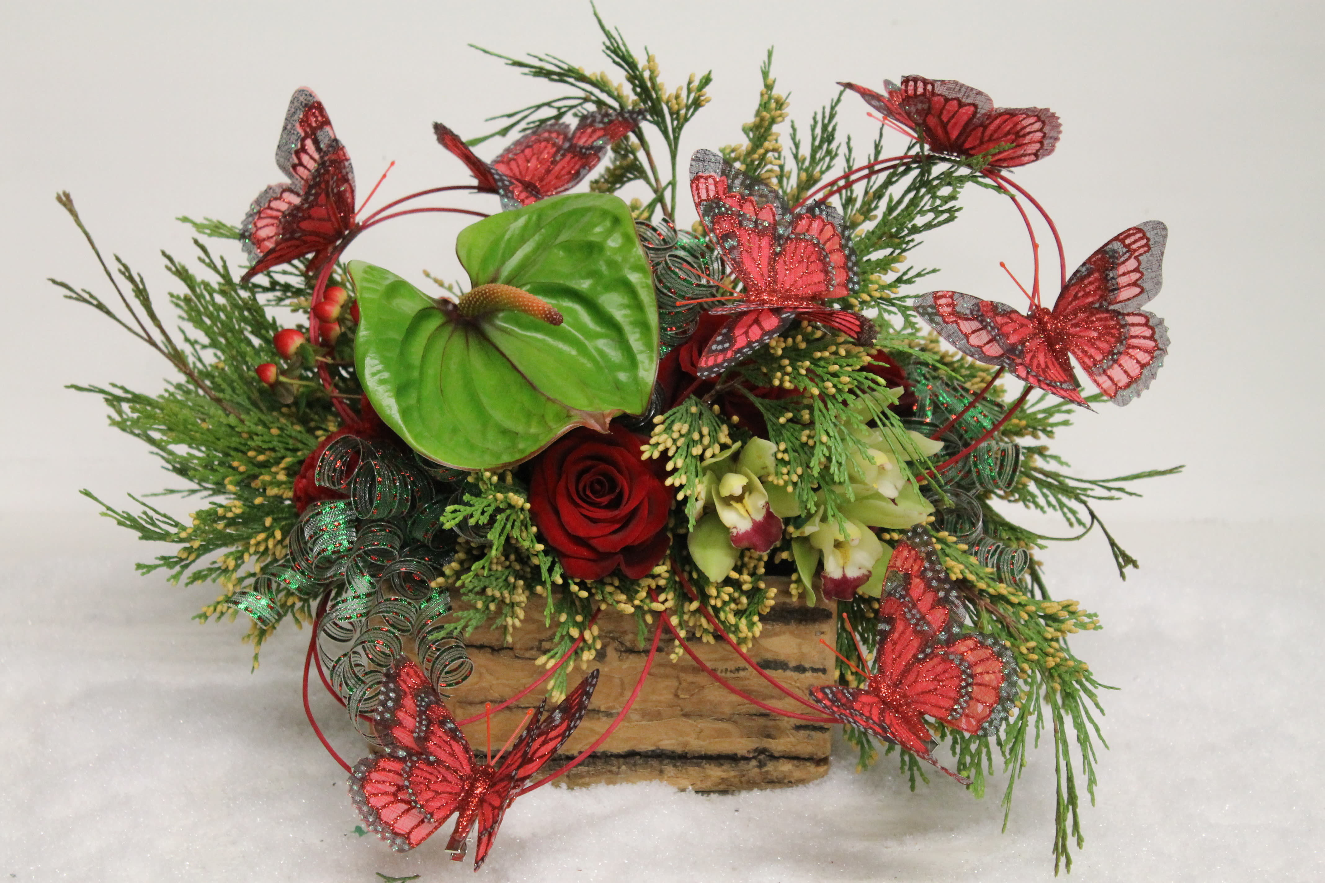 Butterfly - CC - Beautiful &amp; Unique