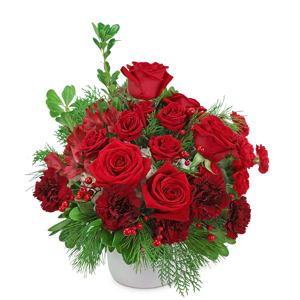 Fireside Frasier and Berries - A classic holiday bouquet of flowers, Fireside Frasier and Berries is a beautiful choice for any occasion. Our expert designers create a joyful design in perfect shades of red and green, featuring carnations, roses, Alstroemeria, and premium foliage and berries to convey your heartfelt holiday wishes. With Christmas just around the corner and New Year's Eve on its way, we're happy to help you brighten both days with a festive bouquet. 