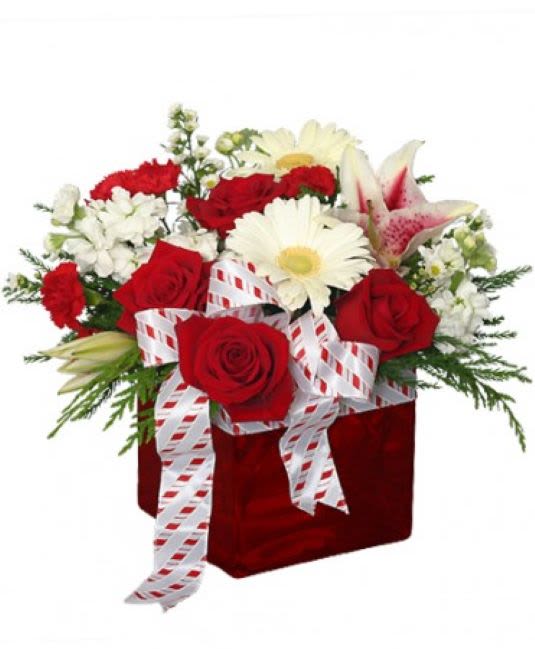 All Wrapped Up Bouquet - A  variety of red and white blooms in a red cube with festive ribbon to wrap up the style. 