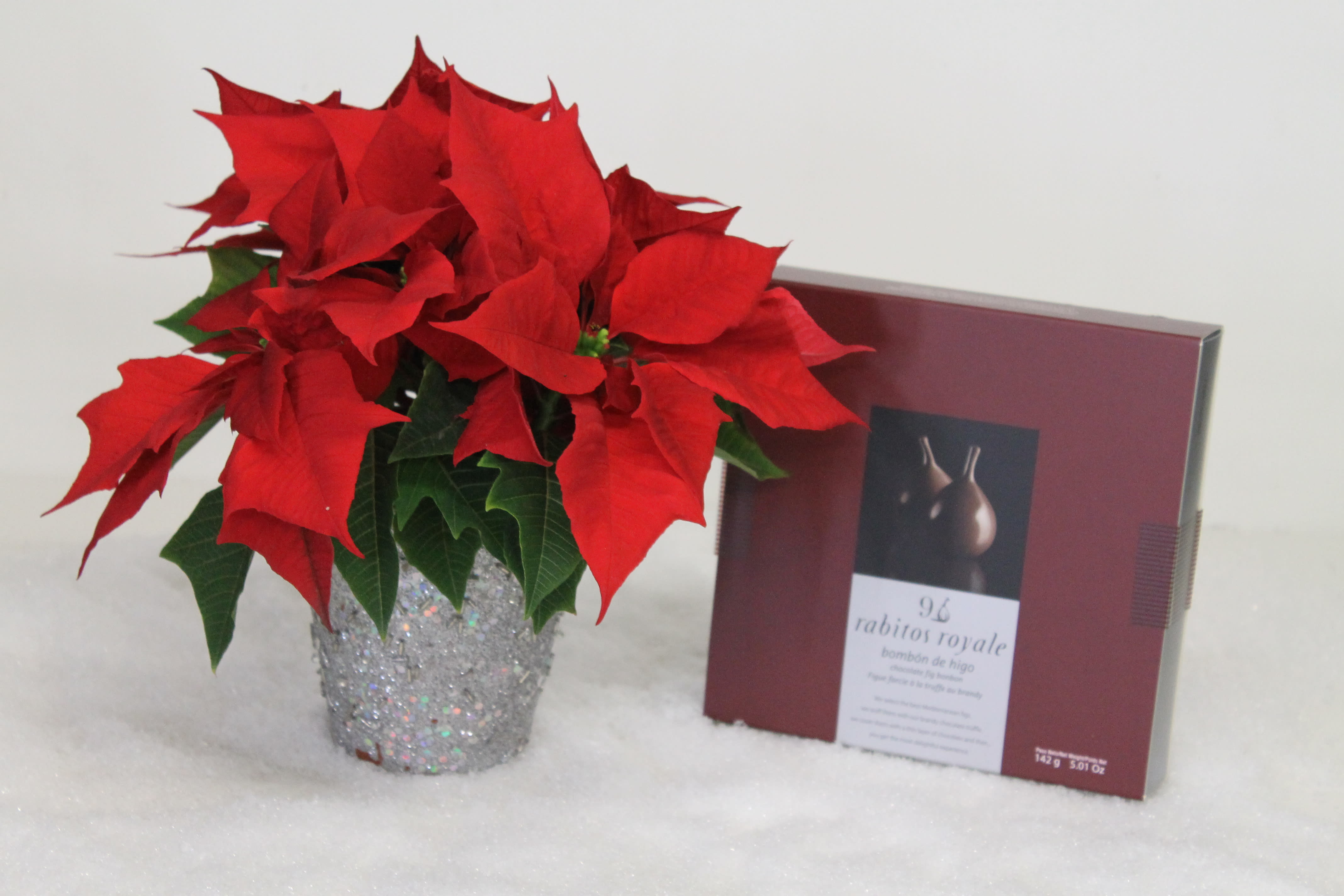 Perfect Gift - CC - 4&quot; plant and chocolate