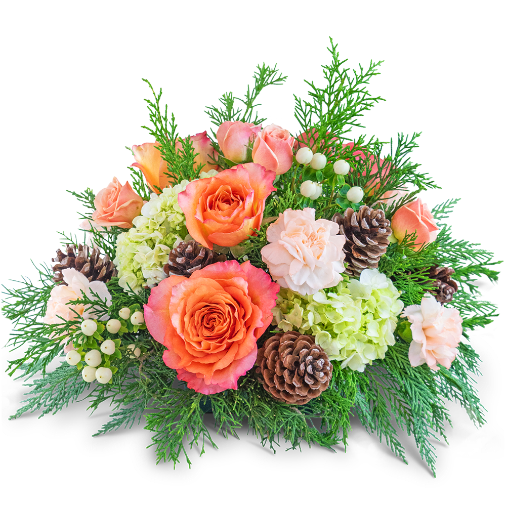 Frosted Peach Centerpiece - Step into a winter wonderland with our Frosted Peach Centerpiece, the perfect design for your holiday table. Bursting with charm, it showcases the delightful combination of roses, carnations, hypericum berries, hydrangea, evergreen foliage, and pinecones. With its elegant yet cozy feel, this enchanting floral design will effortlessly bring warmth, joy, and a touch of sophistication to your holiday gatherings, creating a festive atmosphere that will be appreciated by all.