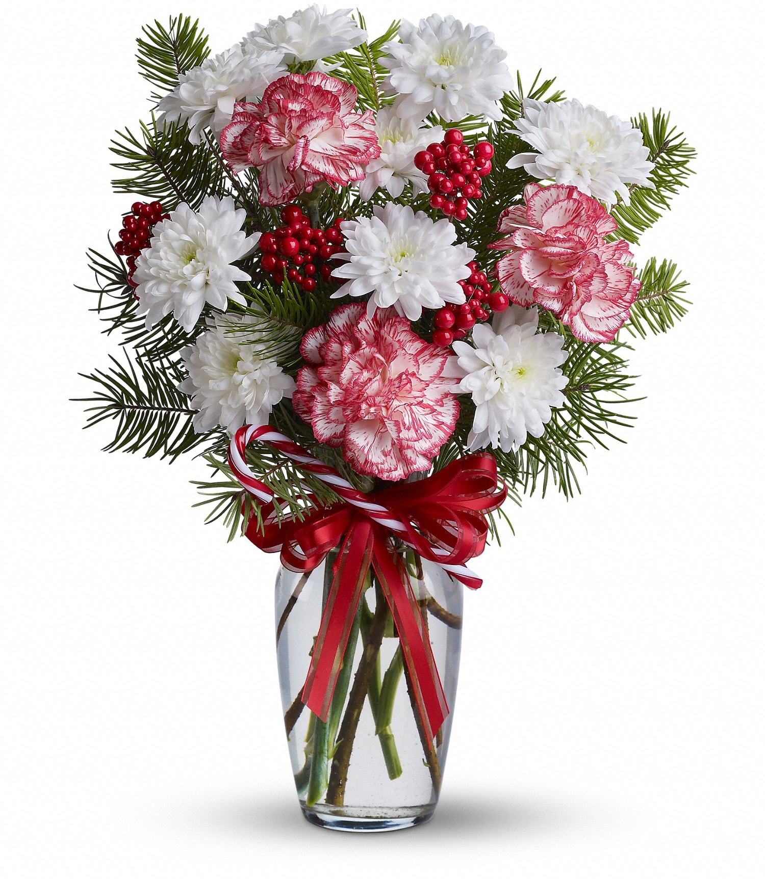 Peppermint Pretty - Someone wonderful will have a very merry Christmas when you send them this delightful peppermint-themed gift featuring peppermint carnations, white blossoms and red berries, plus a sweet candy cane accent. A charming floral treat.     Peppermint carnations and white cushion spray chrysanthemums - accented with faux berries, red satin ribbon, a candy cane and fir - are delivered n a clear glass vase. Approximately 9" W x 15" H 