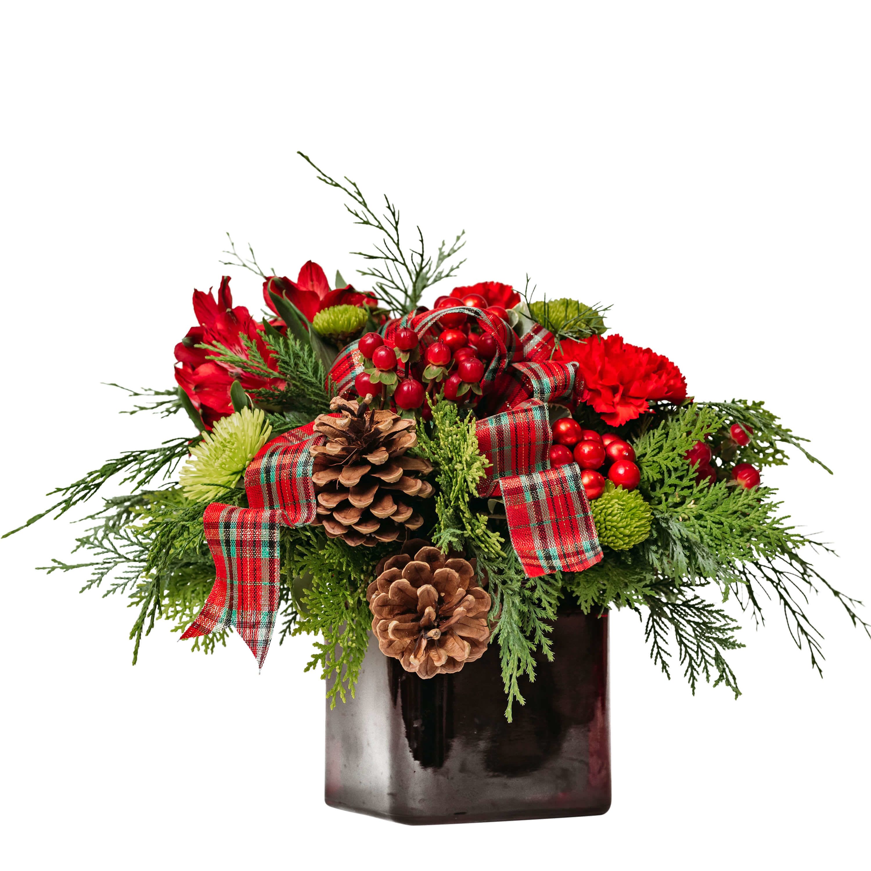 Winter Plaid Bouquet - Wrap them in warmth. Winter Plaid is a playful way to show your affection during these colder days. pine cones and berries are paired with carnations and alstroemeria in this heartwarming red cube.