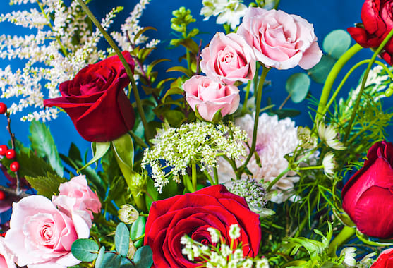 Designer's Choice CANDY CANE WRAPPED ARRANGEMENT (Reds, Whites, Pinks, And Bright Greens/Holiday Greens) - A traditional palette of reds, whites and pinks with seasonal greens is a holly jolly favorite this time of year.