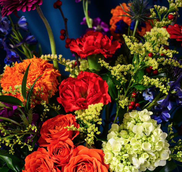 Designer's Choice NUTCRACKER WRAPPED ARRANGEMENT (Brights, Primary Colors) - This bold and bright bouquet of flowers will march into the recipient's heart with holiday cheer! A primary palette of blues, reds and yellows will be accented with complimentary hues based on availability and the designer's whims!
