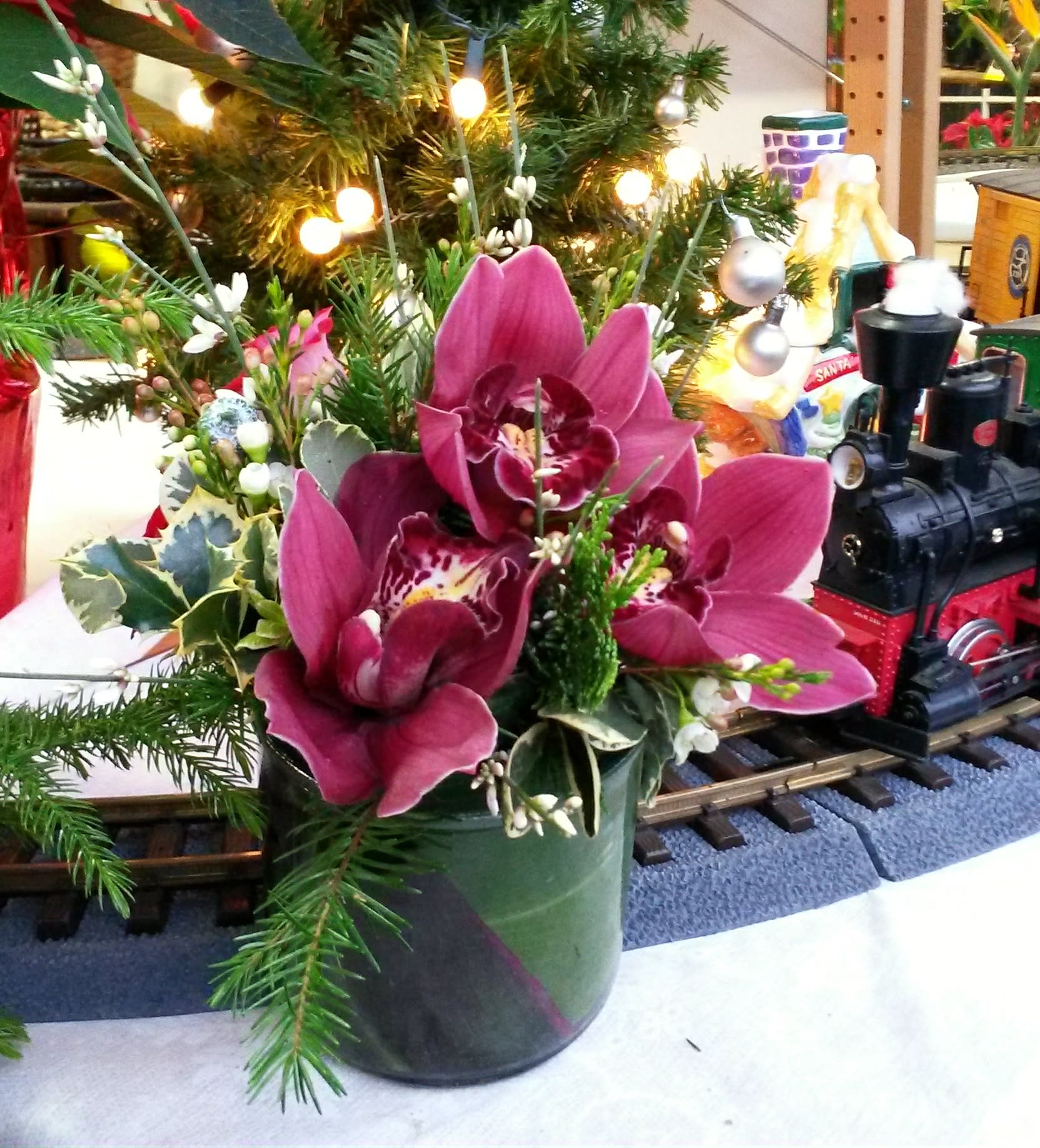 Christmas Orchids - Here's a holiday variation on one of our best selling designs.  Deep burgundy cymbidium orchids are arranged in Christmas greenery.  Accented with red berries, spray roses, and both red &amp; green Ti leaves.