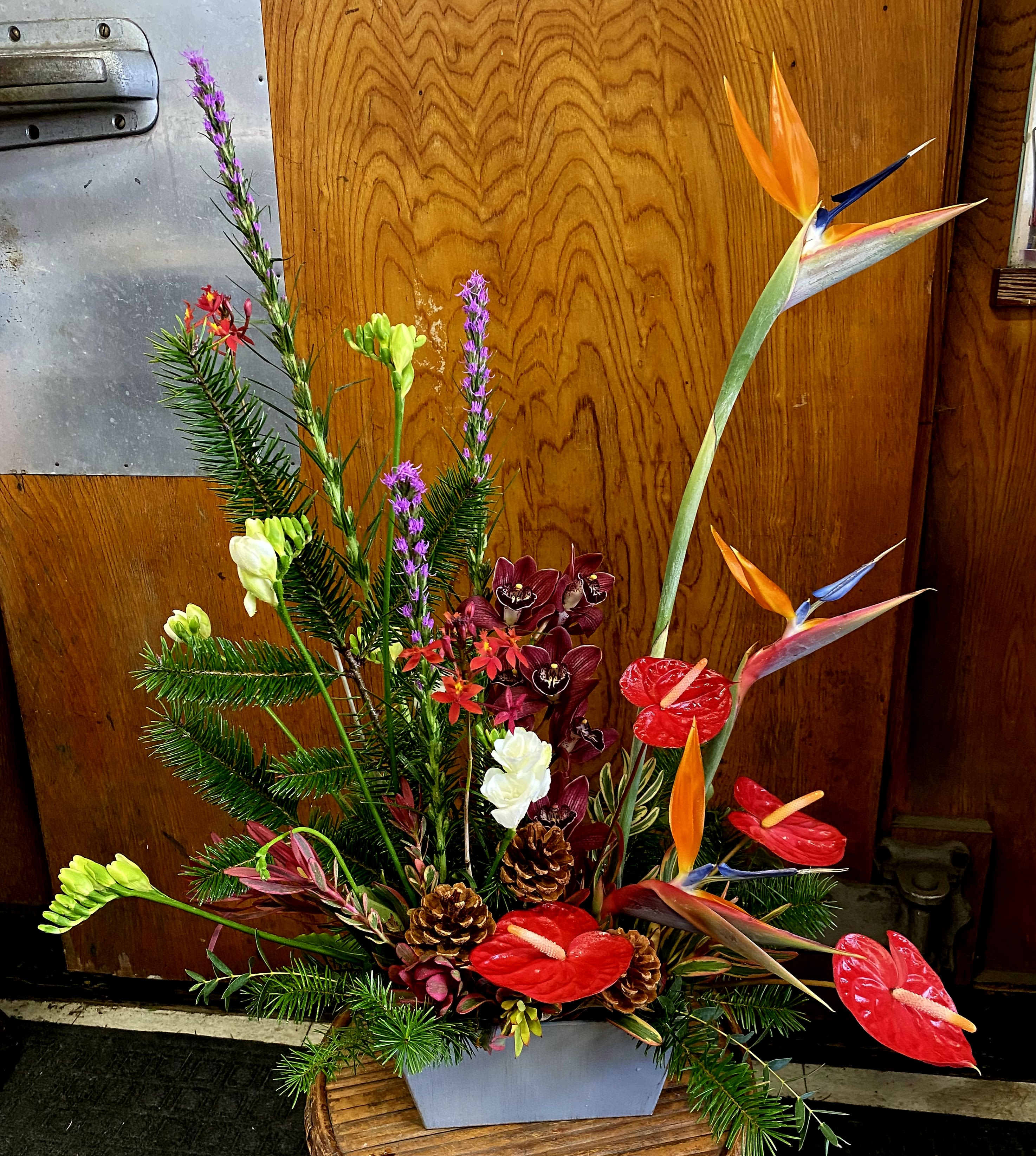 Tropical Christmas - For when you need winter and tropical vibes at the same time! Eye catching red Anthurium, Cymbidium orchid , and Birds of Paradise paired with pine greenery and pinecones.