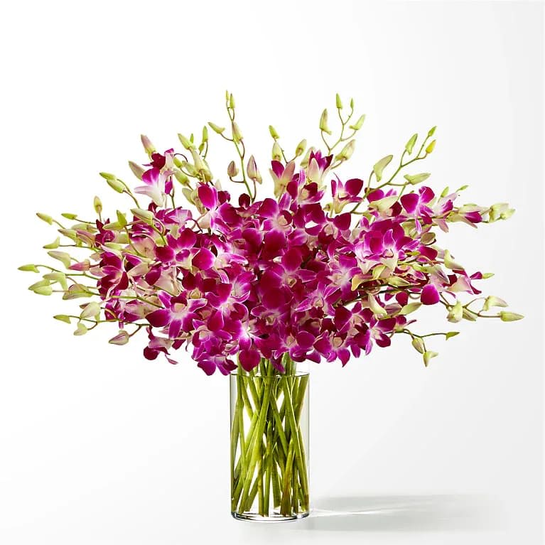 Positively Purple Orchid Bouquet - Take a trip to the tropics with this bouquet of bursting orchids, a gorgeous reminder of nature's beauty.