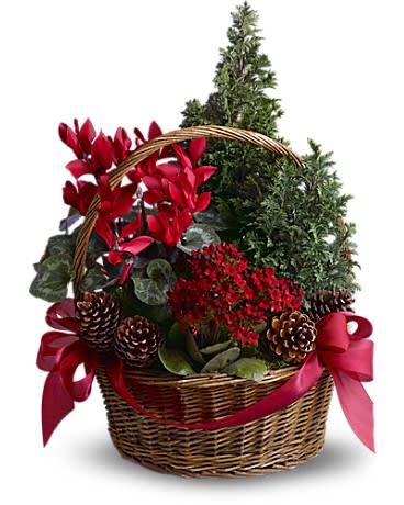 Tannenbaum Basket - Miniature live Christmas trees make this basket a gift that will really grow on whoever is lucky enough to receive it. And keeping spirits bright - there are also festive flowering plants and other holiday touches.