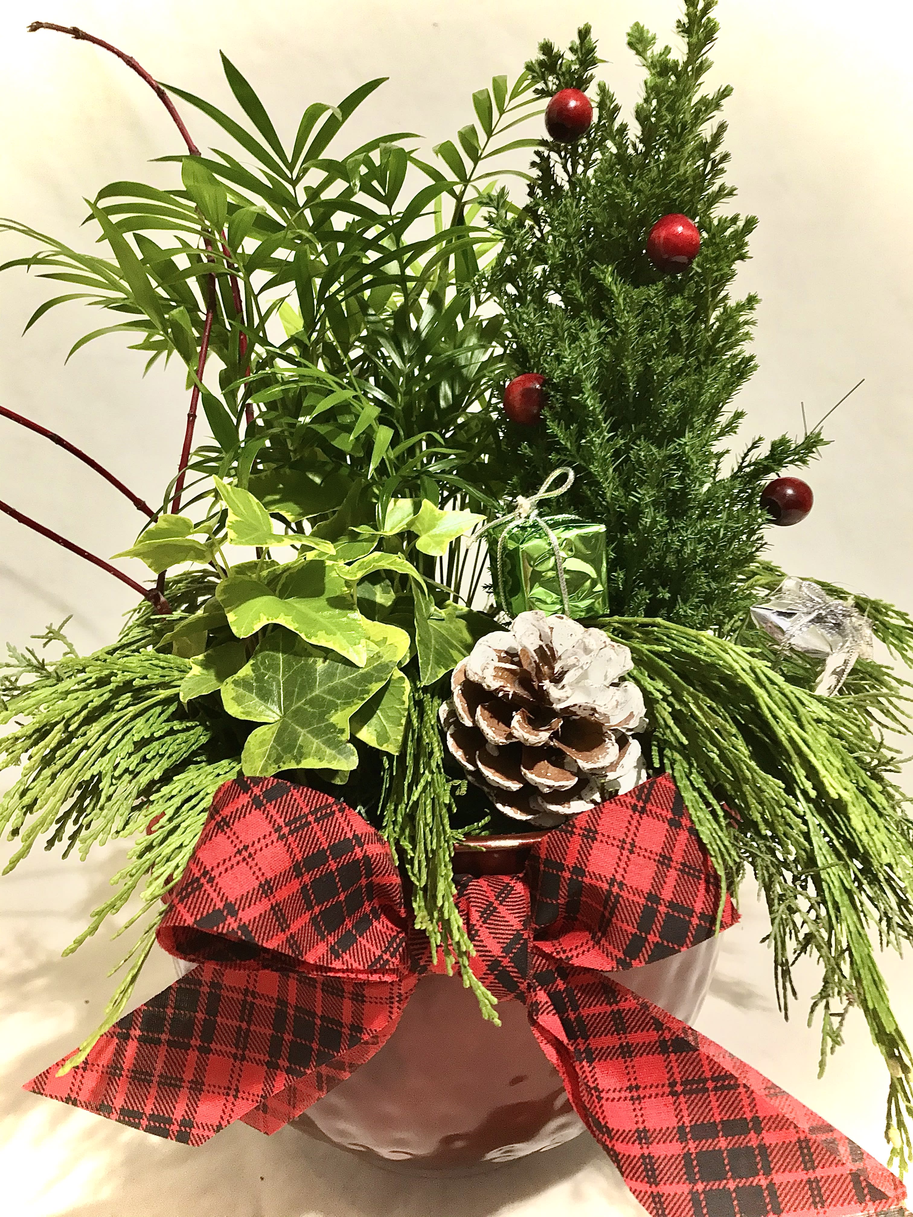 Holiday Dish Garden - A bowl of Holiday fun!  A Mini Christmas Tree with Cranberries, Palms, and Ivy Nicely potted in a bronze container and adorned with fresh evergreens.  Beautiful and long lasting!