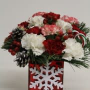 Snow Flake - CC/26 - Carnations