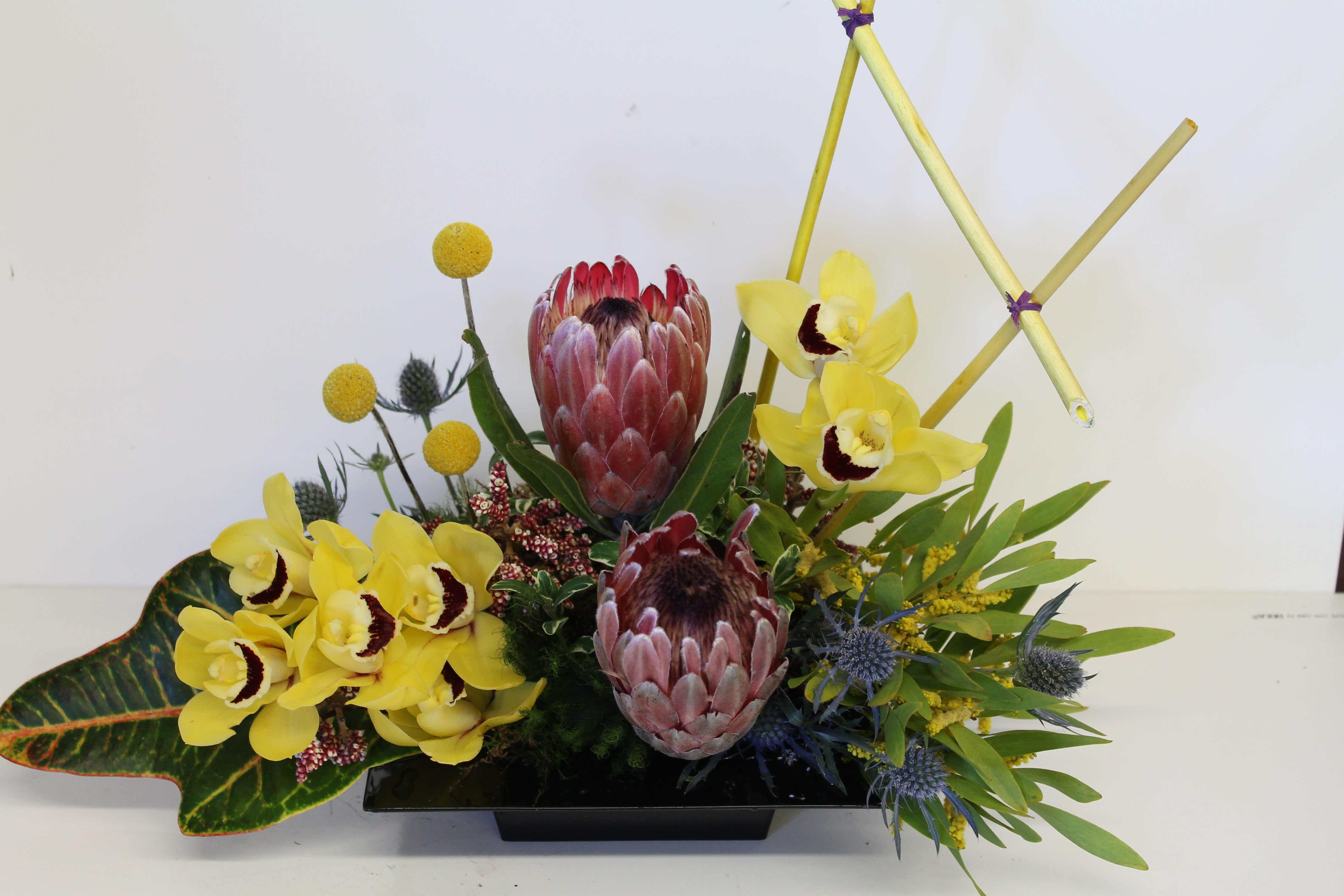 Small Island/26 - For any Occasion