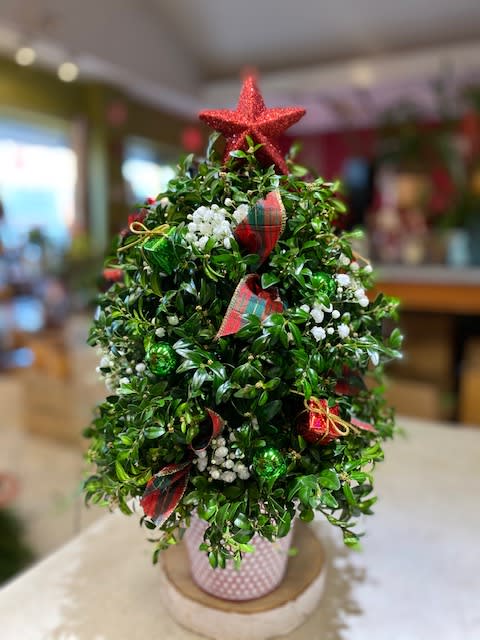 Deck the Halls Miniature Boxwood Tree - Don't let a lack of space dampen your spirits! This &quot;tree&quot; made of holiday greens festive ornaments and ribbon will deck anyone's halls in style! English boxwood red and gold ornaments and yards of beautiful ribbon make this tree as festive as any! Approximately 14 1/2&quot; W x 21 1/2&quot; H  PLEASE ORDER EARLY AS WE WILL ONLY BE ACCEPTING A LIMITED NUMBER OF ORDERS FOR TREES