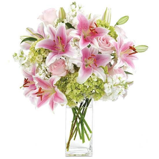  delightful lily bouquet - We can’t think of a more apt name for this delightful lily bouquet. It stars stunning oriental lilies as its focal point, each impressive stem boasting 3-5 flawless and fragrant blooms. And as if that weren’t enough, we added gorgeous green hydrangeas, fragrant white double bloom stock, and six sweet pink roses to make everything picture perfect.