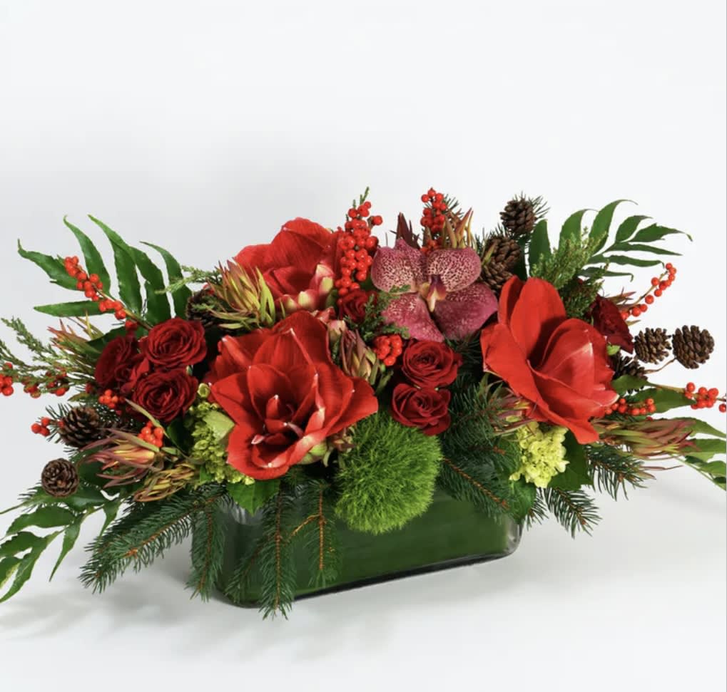 Joyous  - Celebrate the holiday season with a festive presentation of the season's finest blooms. This collection of red amaryllis, red roses and red winterberry is a statement piece that will bring the joy of the holidays.