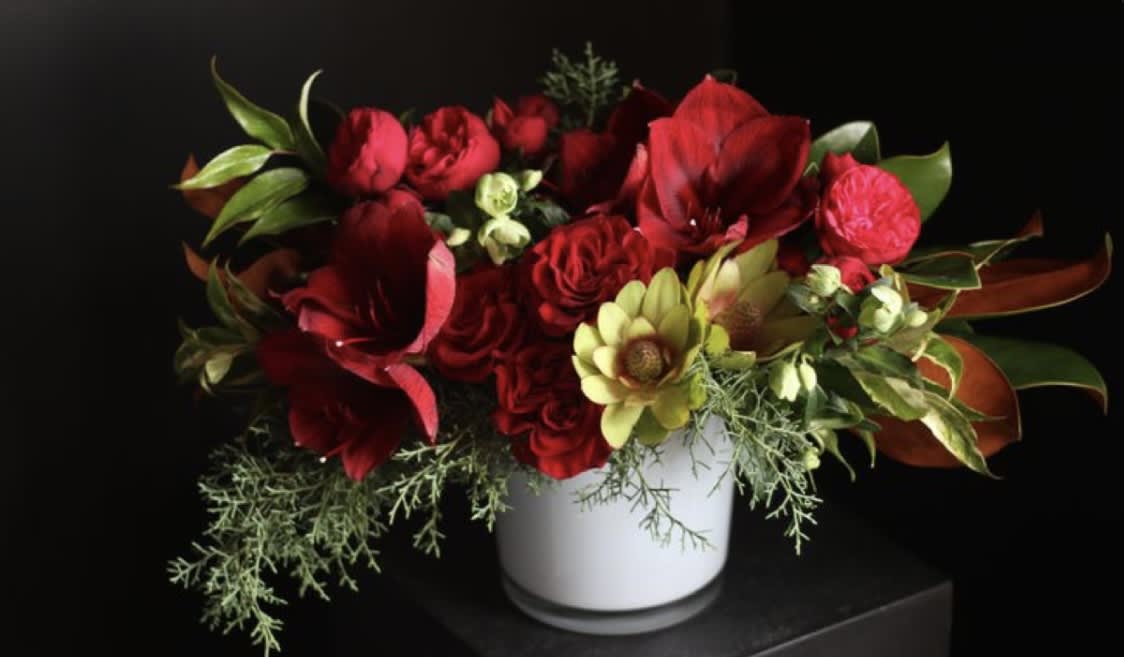 Winter Forest - String boughs of holly throughout your home with our Winter Forest. Rich shades to make a statement. 