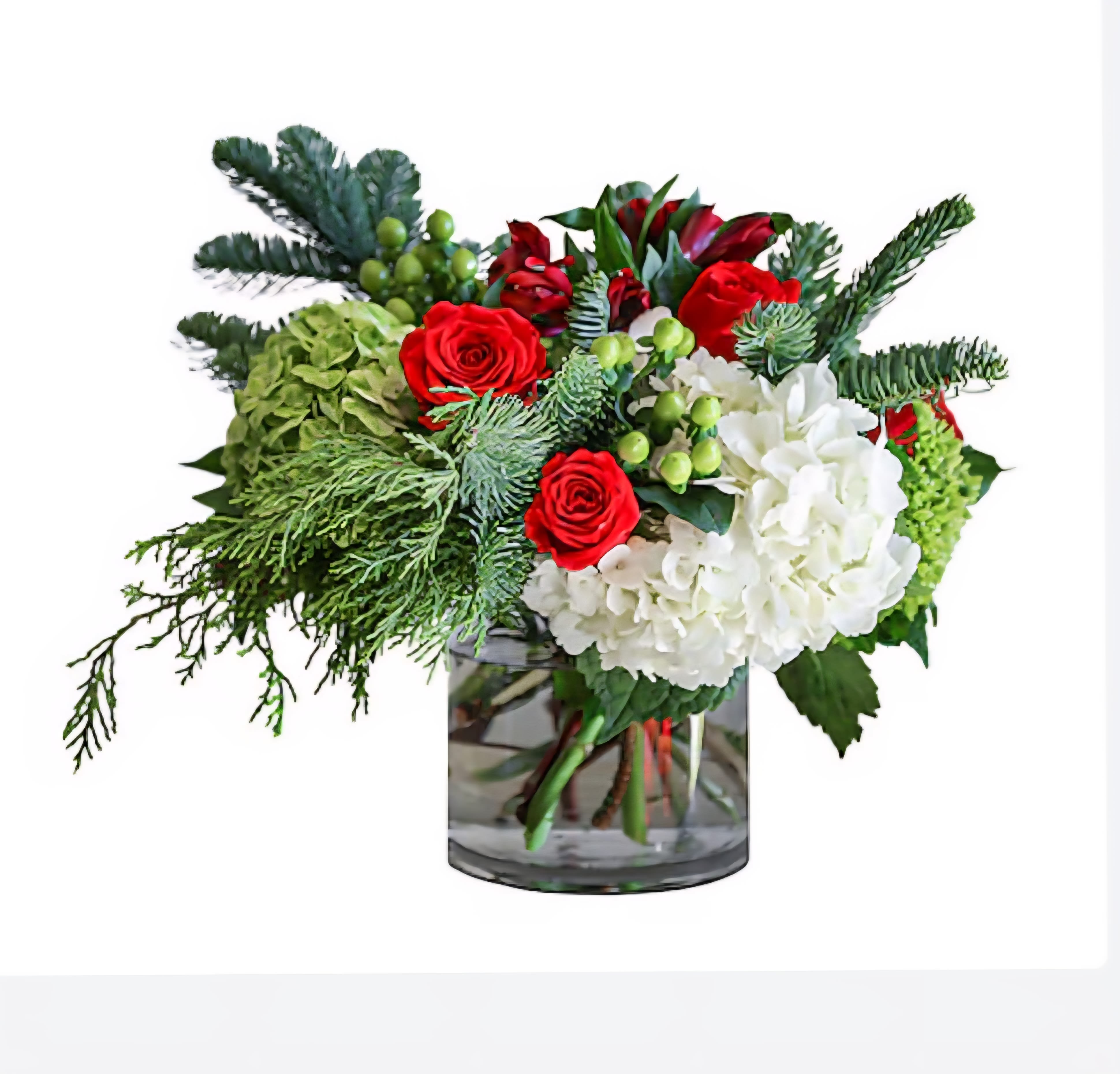Sleigh Ride - A beautiful crisp bouquet of red, white &amp; green blooms with lush types of fresh winter greenery, beautiful red roses, white hydrangeas,  alstromeria &amp; berries fill a clear glass cylinder. Perfect for holiday tables &amp; sending seasons greetings to friends and loved ones.   Measures approx. 14" wide and  12" tall Orientation: All around 