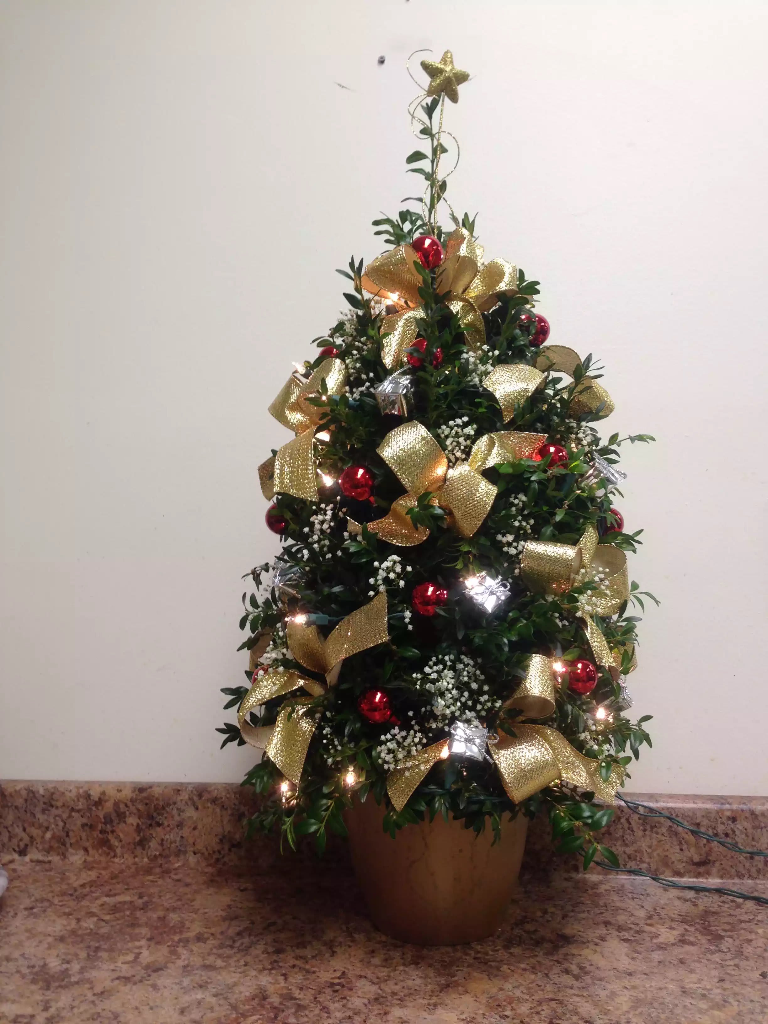 Popular Boxwood Tree - Boxwood Trees make great Holiday gifts and great focal points for any table. Get creative and pick your own colors and style