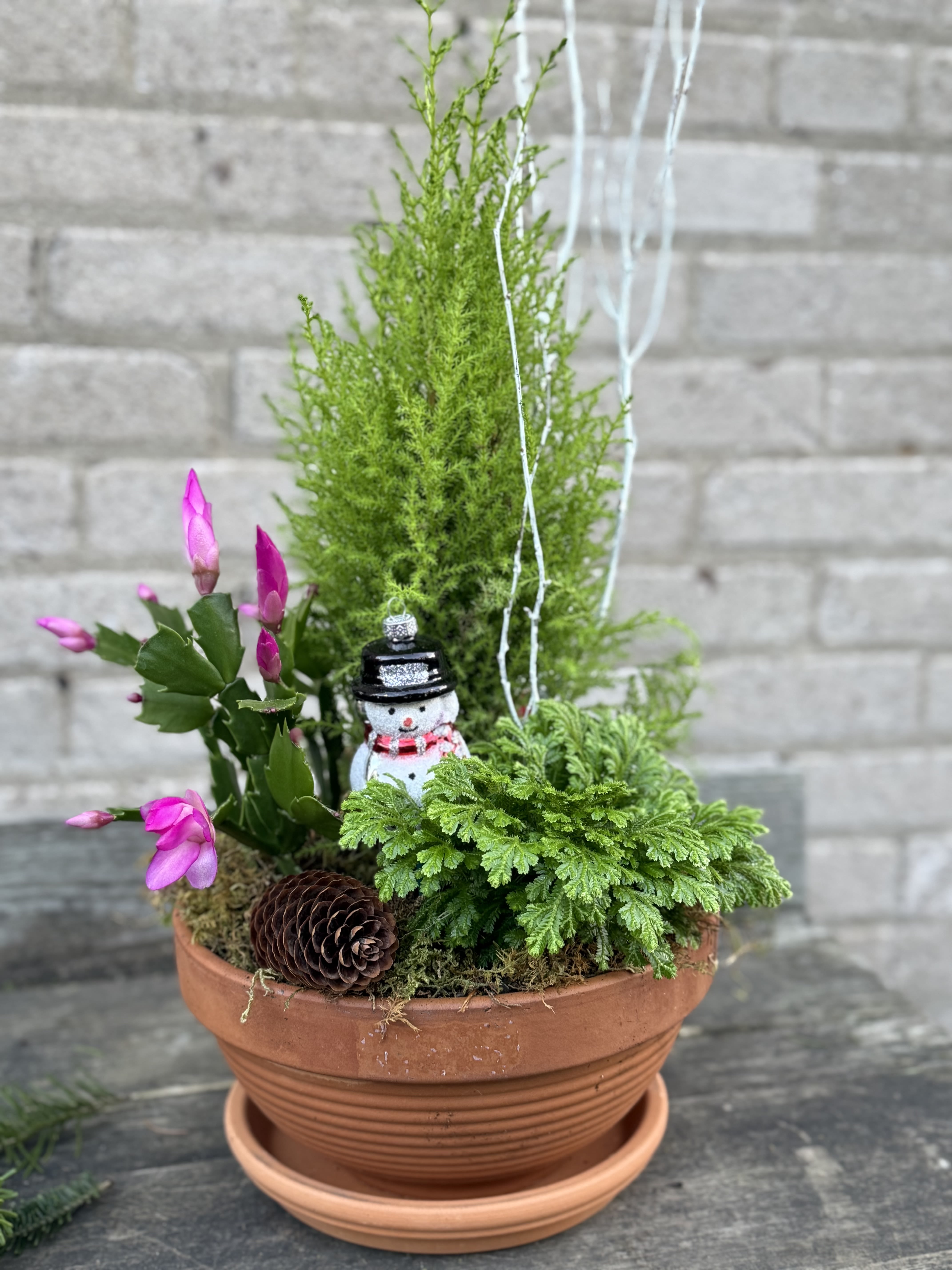 Christmas Garden - A lovely alternative to a flower arrangement, lasts longer with frequent watering. Our Father Christmas may change depending on supply.
