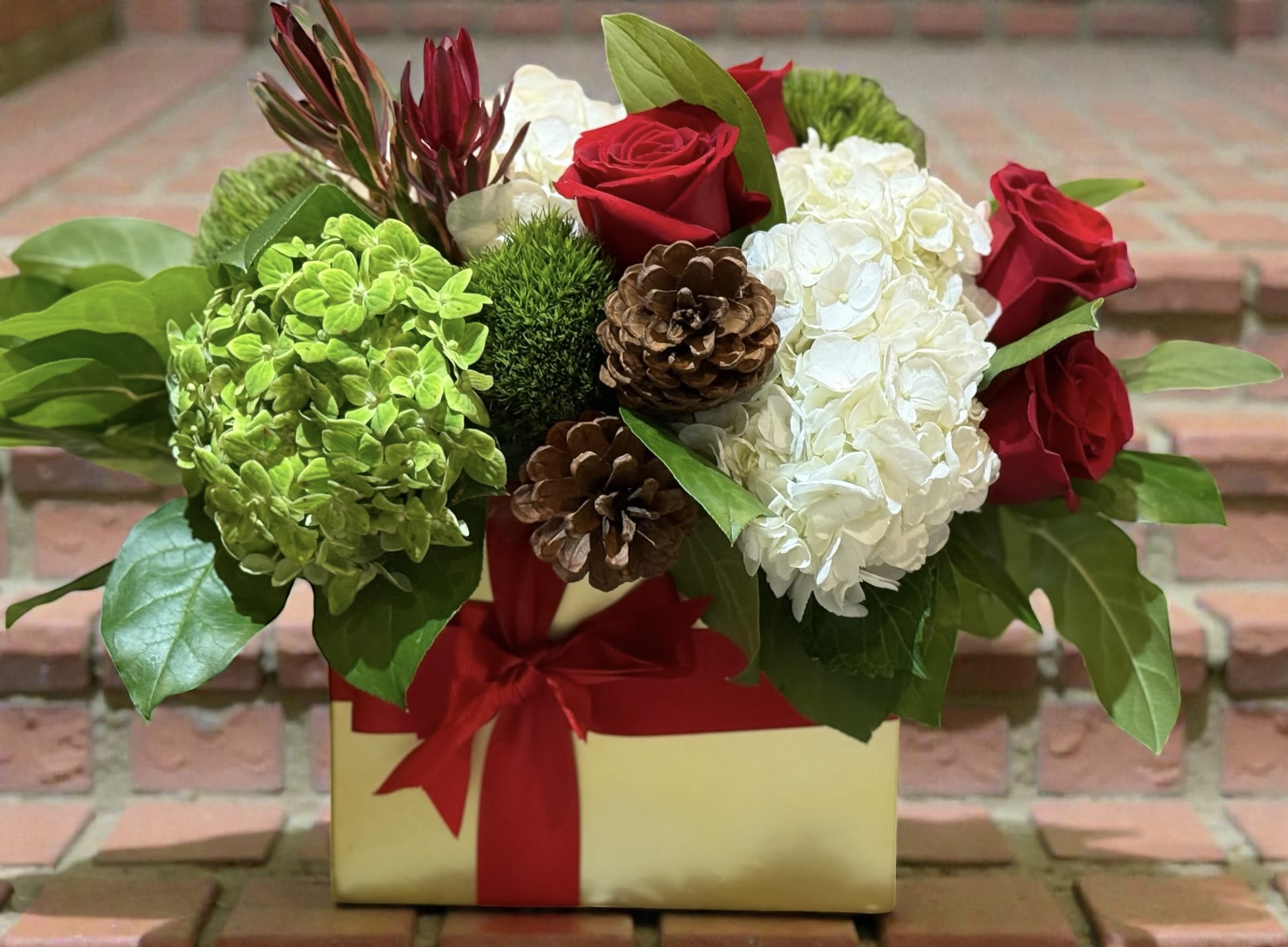 Gilded Surprise - Guided Surprise – Luxury Holiday Arrangement | Wilmington, Delaware Florist Celebrate the season with Gilded Surprise, a stunning floral arrangement handcrafted by your local Wilmington, Delaware florist. Designed in an elegant gold container wrapped with a red satin ribbon, this premium display features white and green hydrangea, striking protea, rich red roses, and natural pinecones for the perfect blend of holiday warmth and modern sophistication. Ideal for Christmas décor, holiday gifting, winter celebrations, and Wilmington same-day flower delivery, this arrangement brings festive charm to any home or office. Whether you’re sending love across town or brightening your own space, Gilded Surprise captures the magic of the season with fresh, high-quality blooms expertly arranged by Wilmington’s trusted floral studio. Order today for fresh, local, same-day hand delivery in Wilmington, Delaware.
