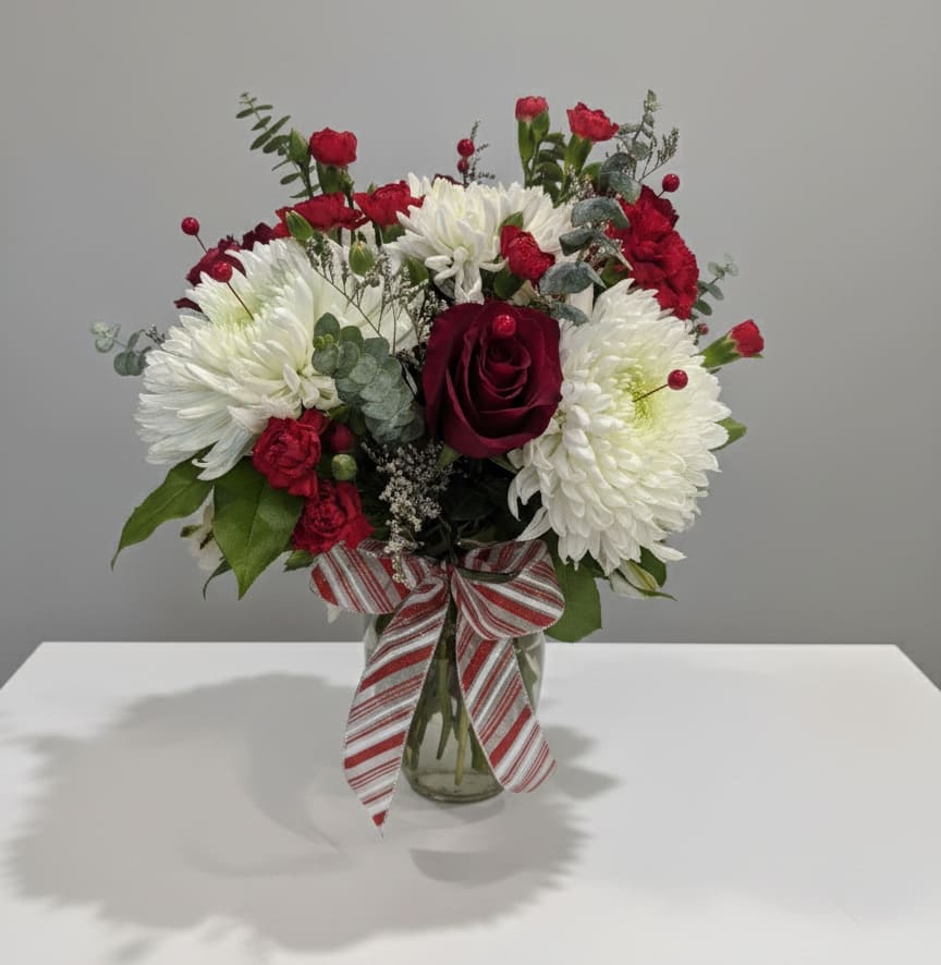 Holiday Cheer Bouquet - A festive mix of deep red roses and snowy white chrysanthemums, accented with bright berries and a playful candy cane-striped ribbon. It's the perfect way to send warmth and joy this holiday season. 