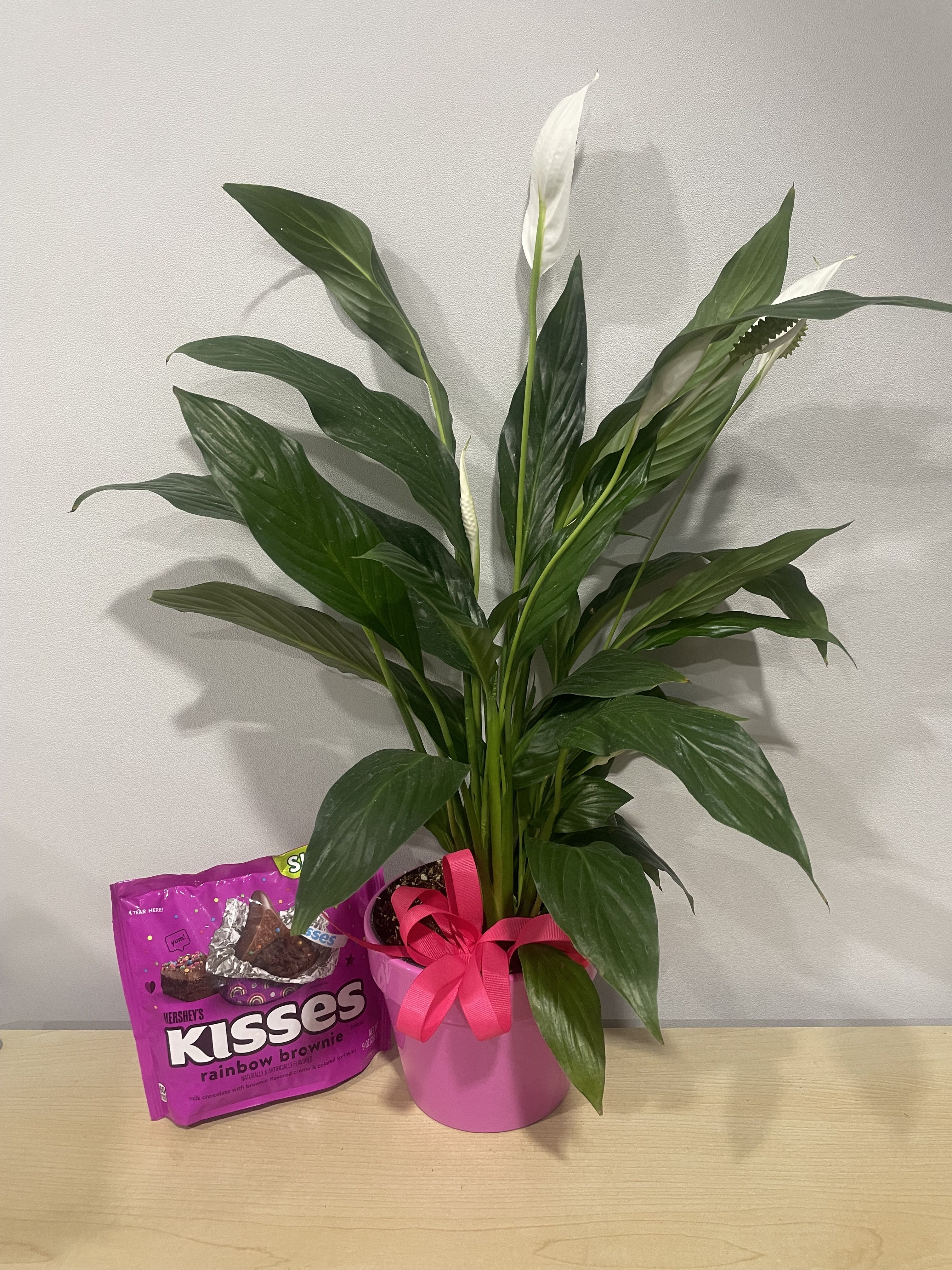 Pink Planter &amp; Kisses - As shown 