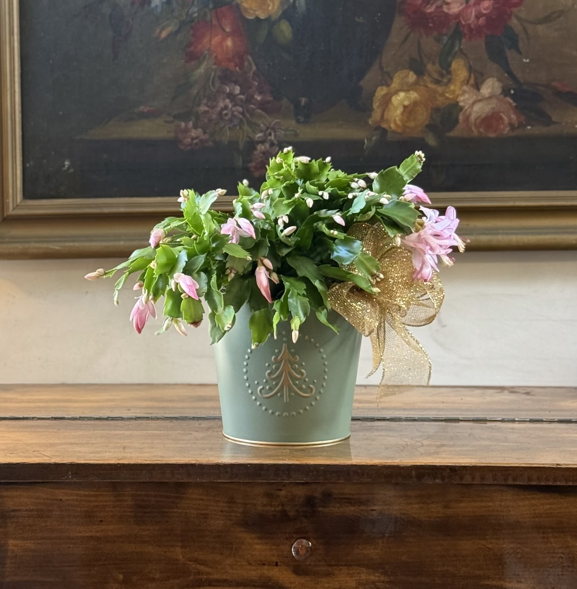 Christmas Cactus  - Pink or red we will choose the nicest plant available - Lovely Christmas Cactus in a beautiful bird French style planter decorated with some moss.  The Cactus color will Vary we have the light pink and dark pink 
