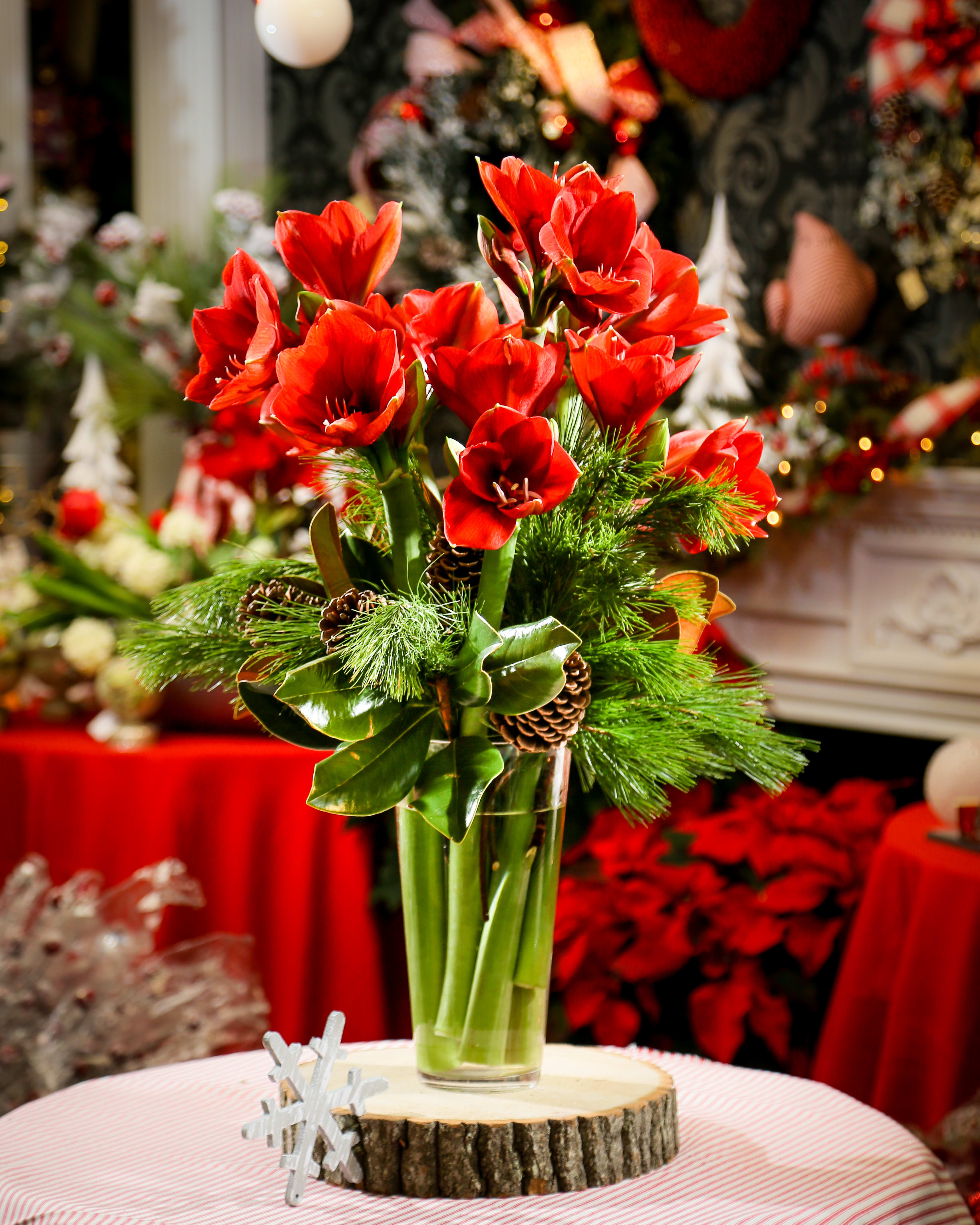 Classic Amaryllis Arrangement - Holiday Collection | Local Delivery Only   Arrive with this stunning arrangement of amaryllis at your next holiday gathering and you will certainly make a statement! This beautiful arrangement includes amaryllis (available in Red &amp; white), fresh pine, magnolia and natural pine cones. Designed in a keepsake clear glass vase. Flowers &amp; COLORS may vary.