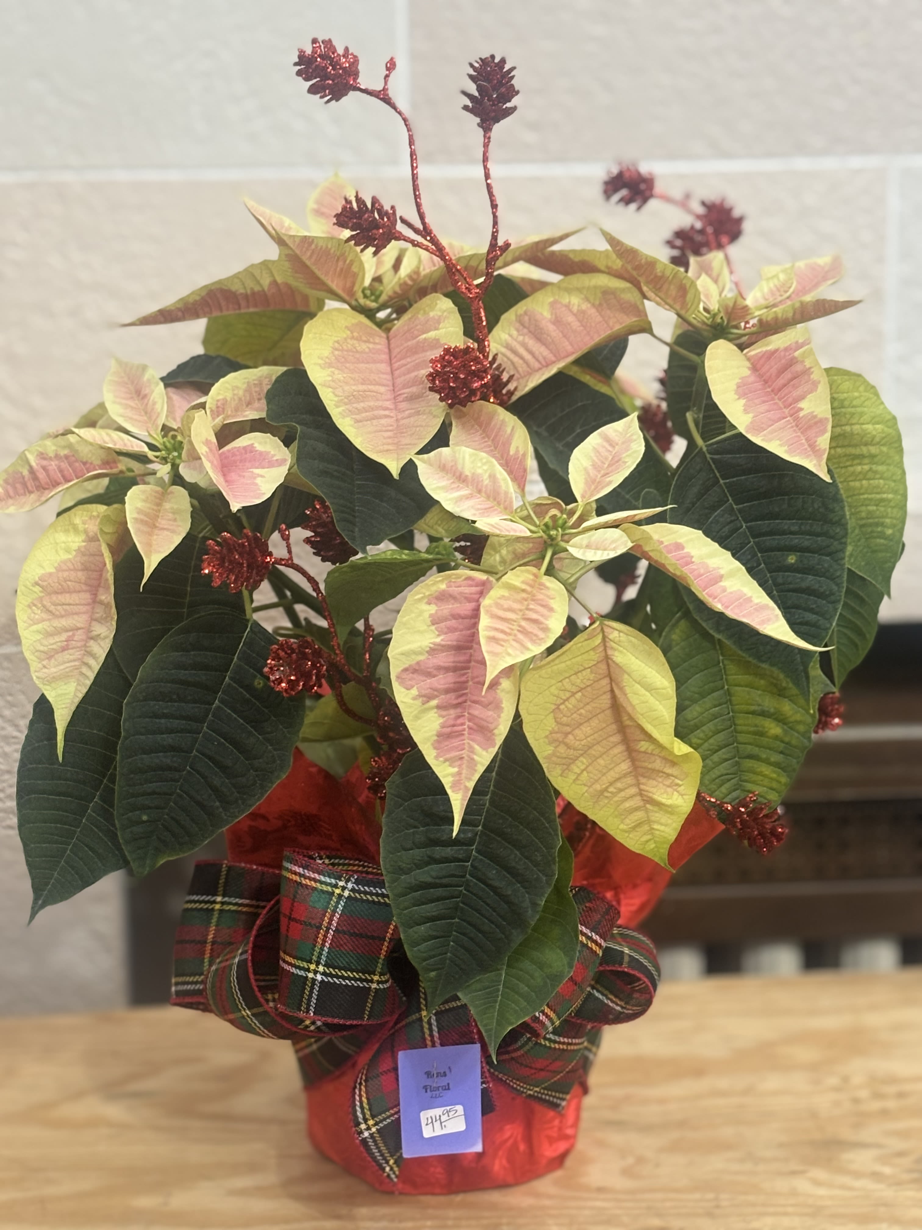Pinecone Poinsettia  - A 6&quot; Poinsettia with artificial mini pinecones. 