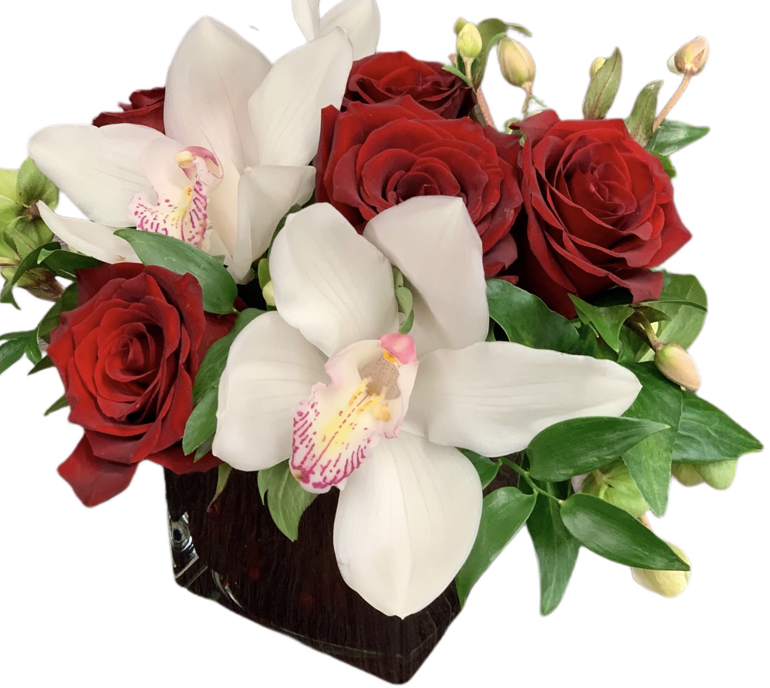 White Orchids and Crimson Roses - White cymbidium and red roses create a charming gift 